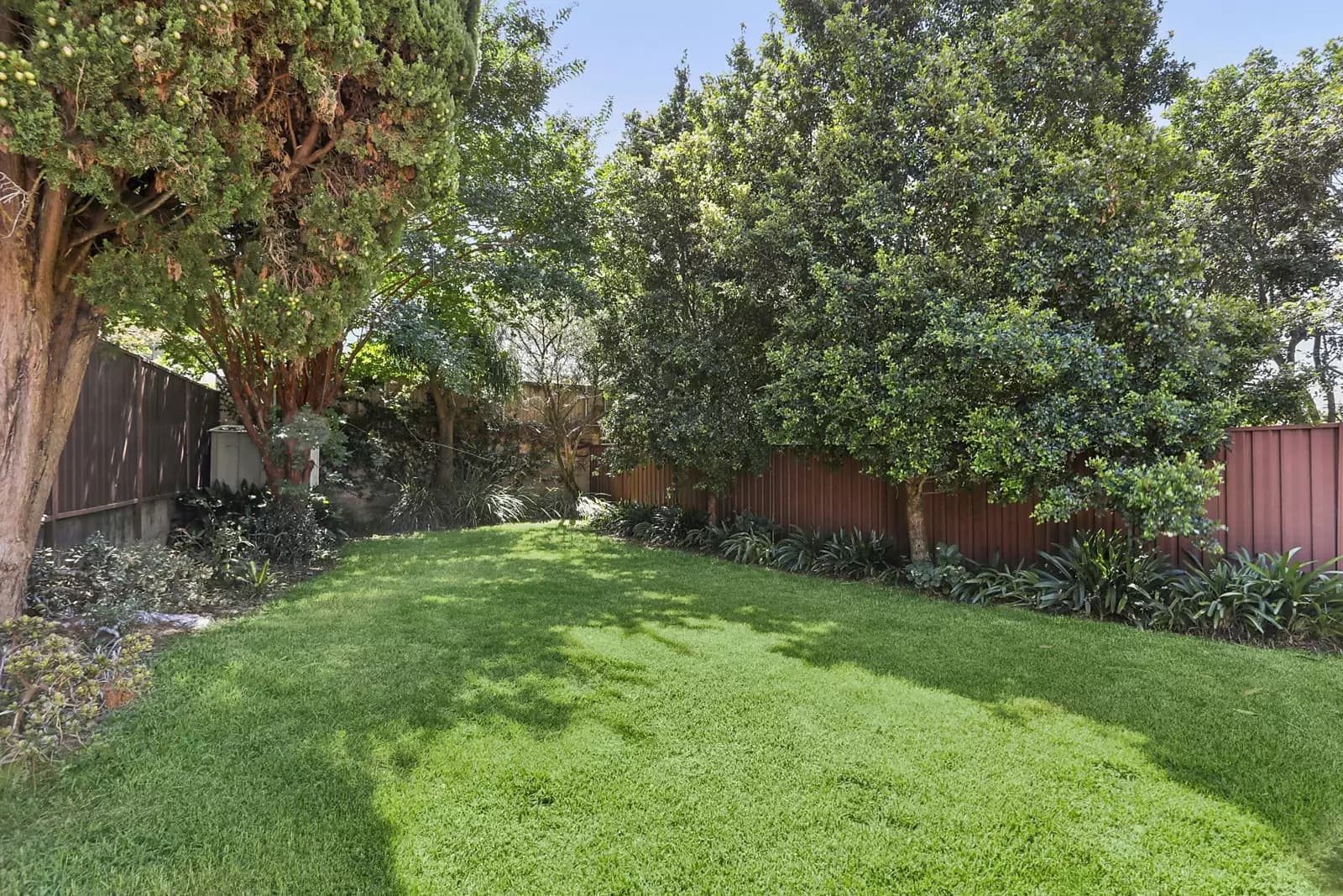 94 Balfour Road, Bellevue Hill, Bellevue Hill - Thumbnail 7