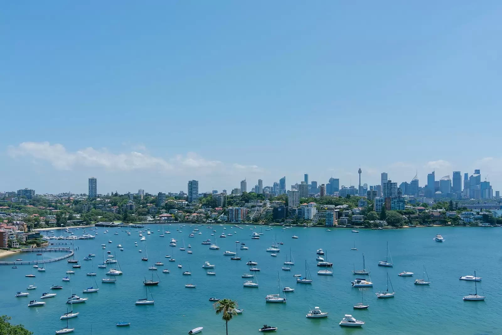 Penthouse/23 Wolseley Road, Point Piper, Point Piper - Thumbnail 3