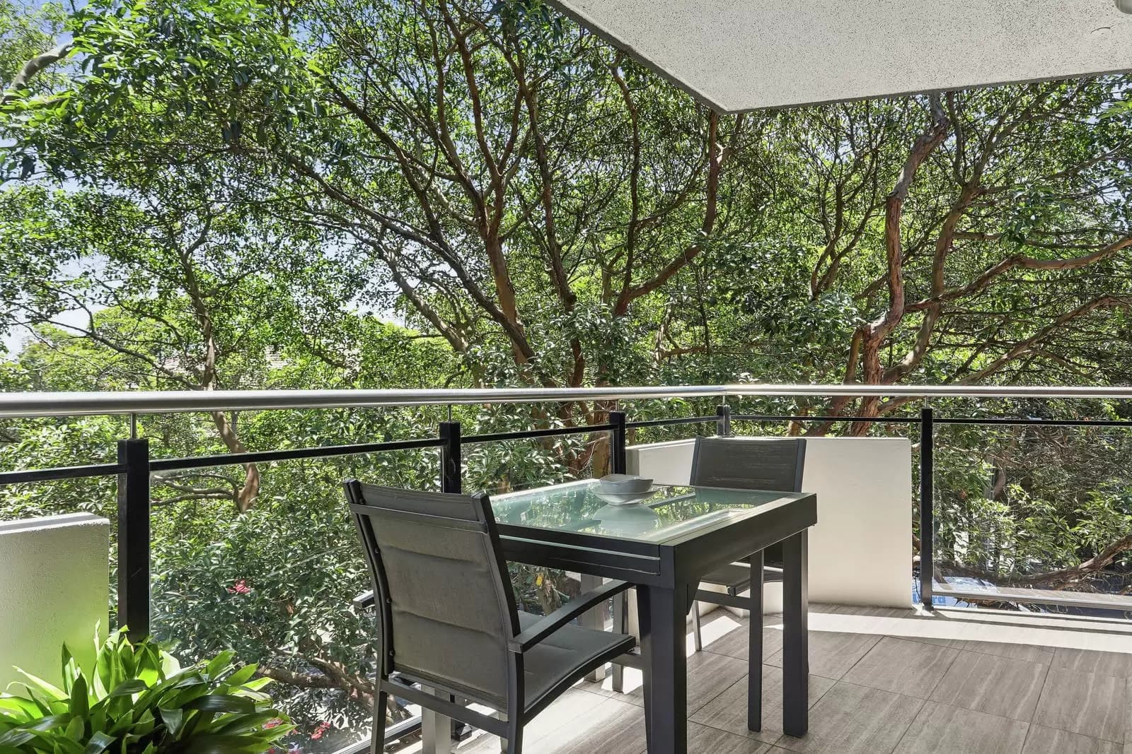 4/1 Frances Street, Randwick, Randwick - Thumbnail 5