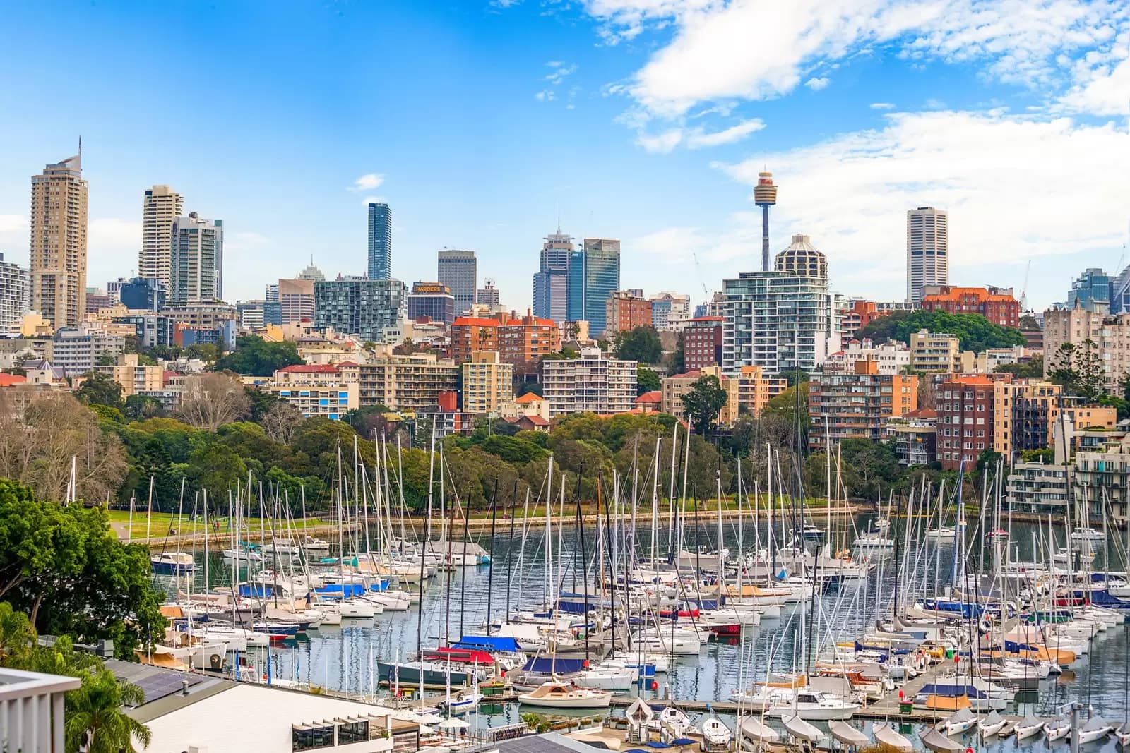 10/2 Annandale Street, Darling Point, Darling Point - Thumbnail 5