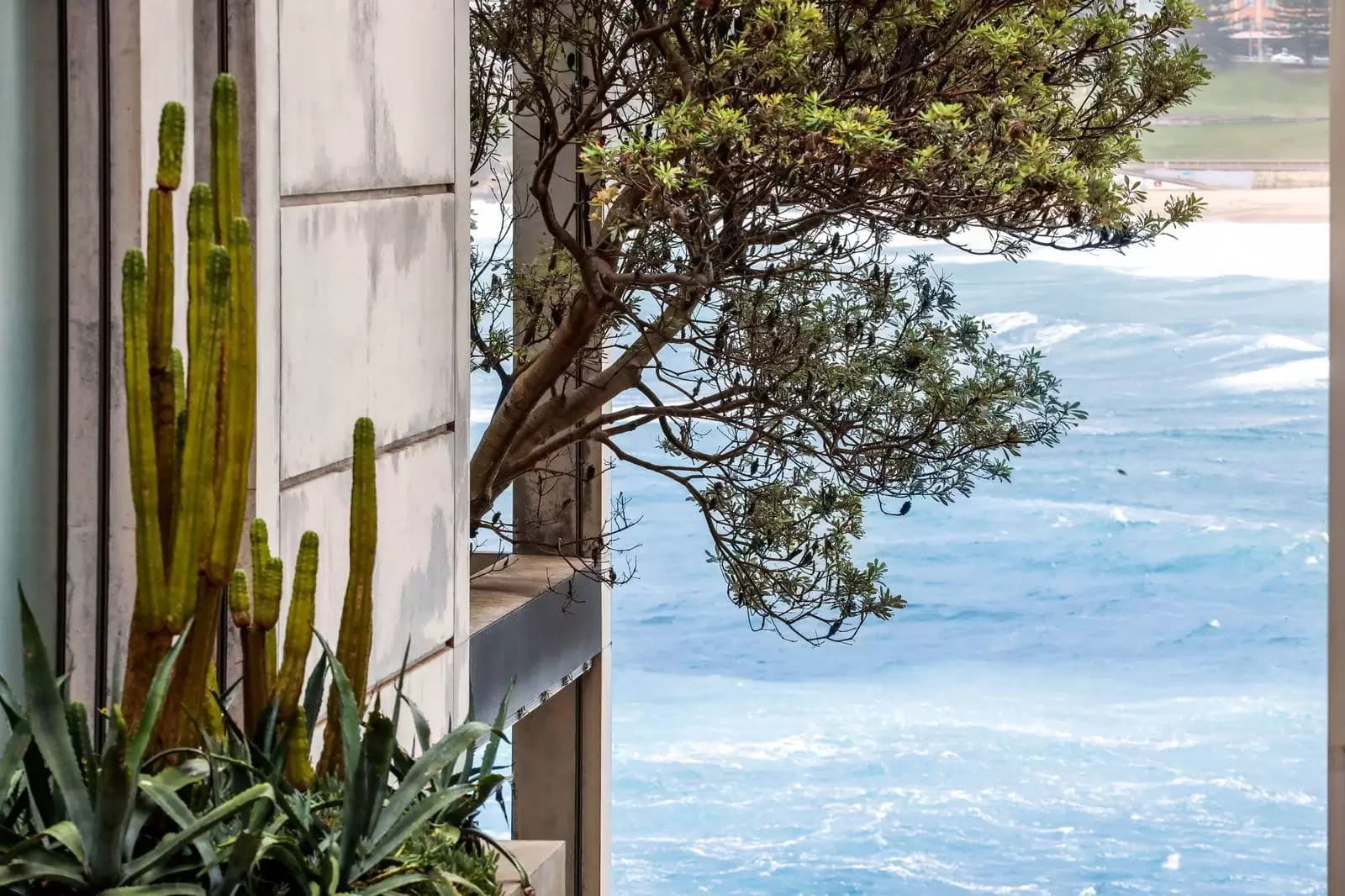 21/101 Ramsgate Avenue, North Bondi, North Bondi - Thumbnail 5