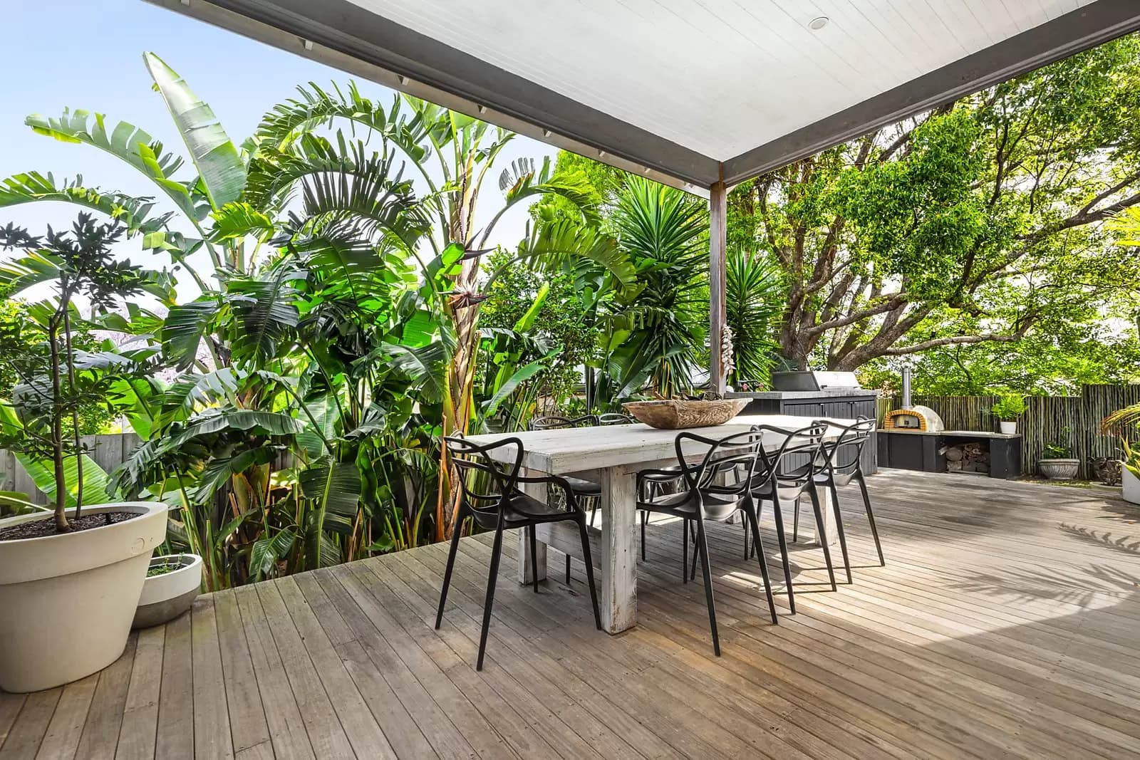 24 Paton Street, Kingsford, Kingsford - Thumbnail 3