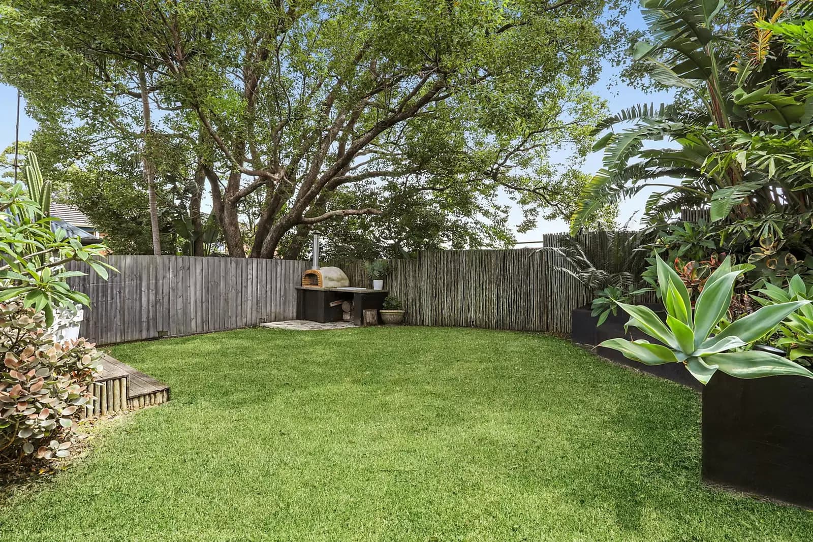 24 Paton Street, Kingsford, Kingsford - Thumbnail 6