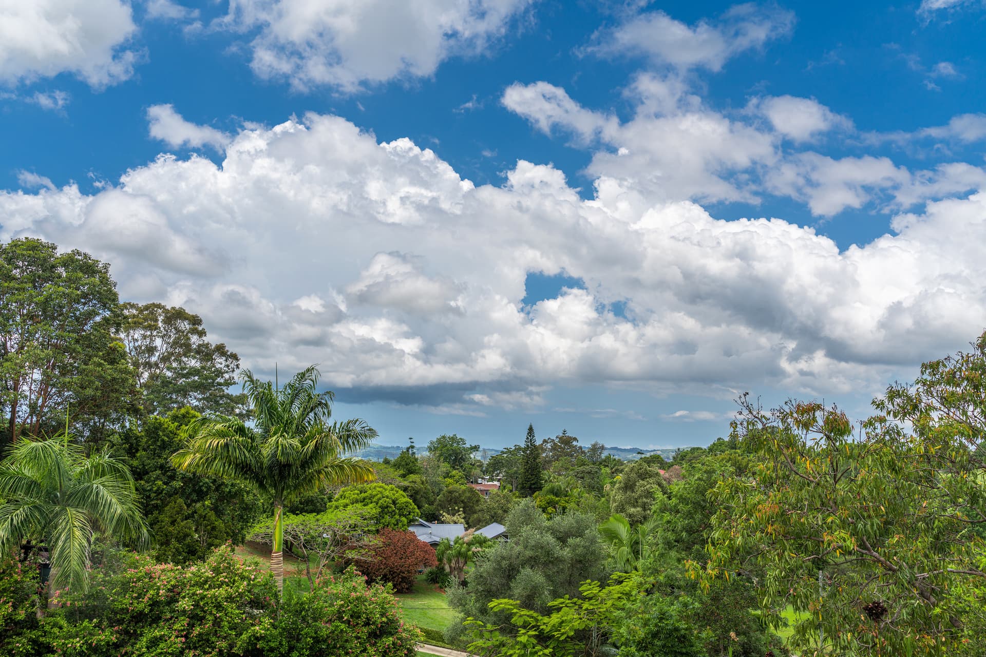 6 Ewandale Close, Clunes, NSW, 2480, Clunes - Thumbnail 5