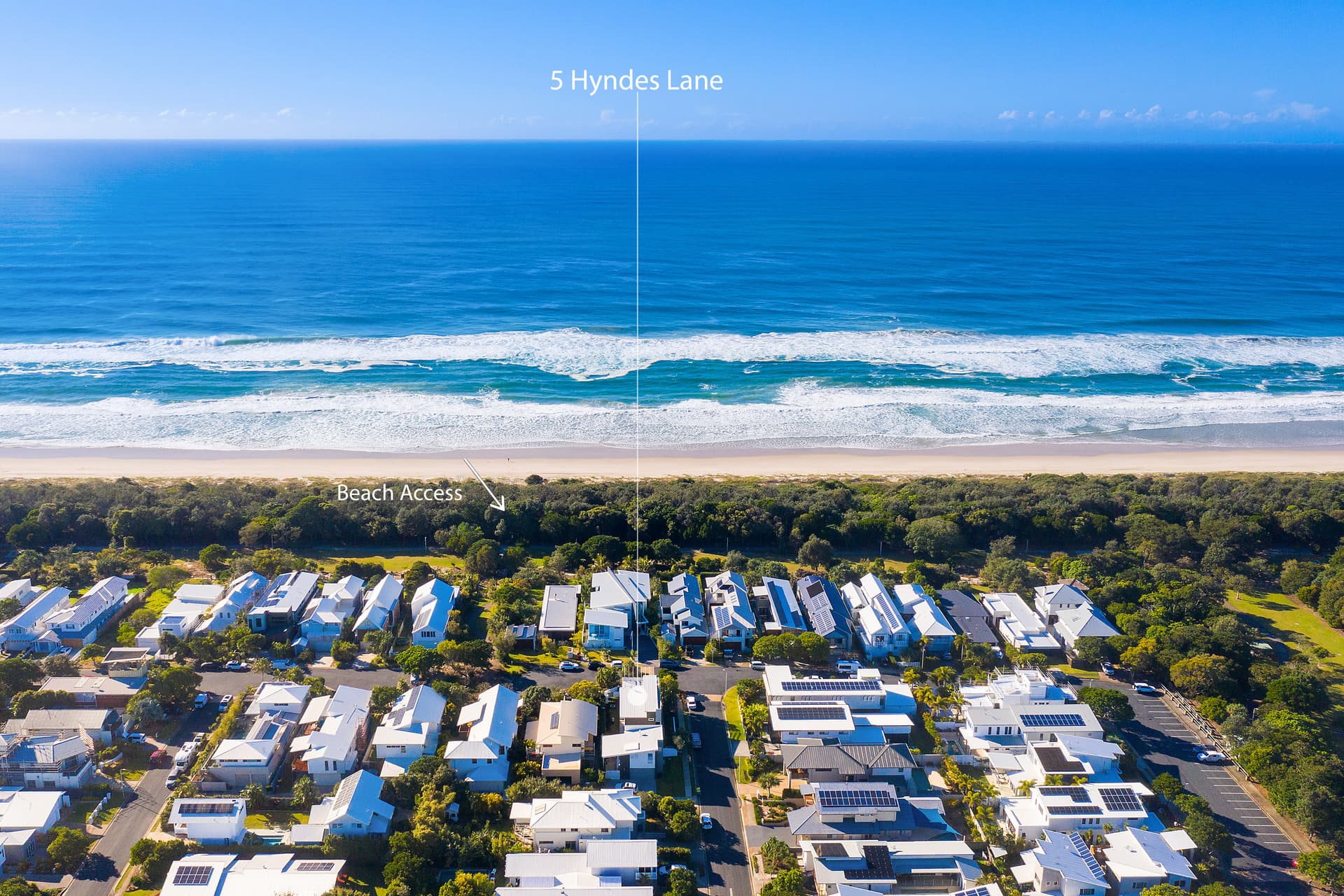 404 Error, Casuarina - Thumbnail 5