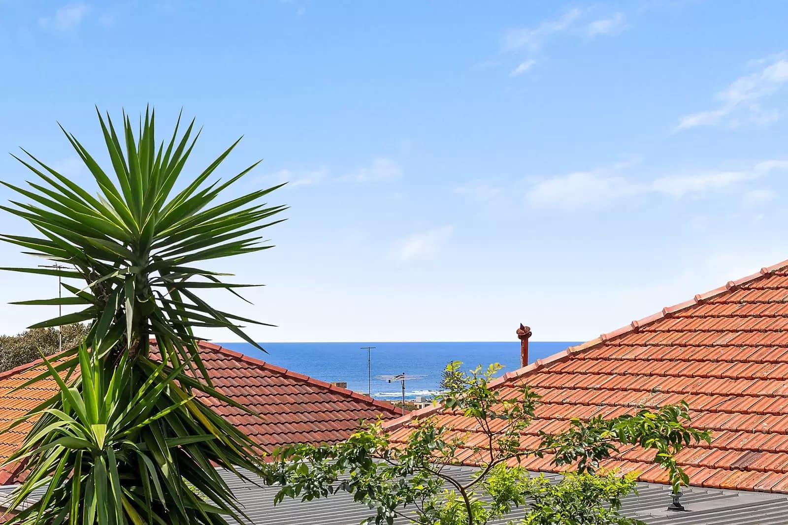 25 Moira Crescent, Coogee, Coogee - Thumbnail 4