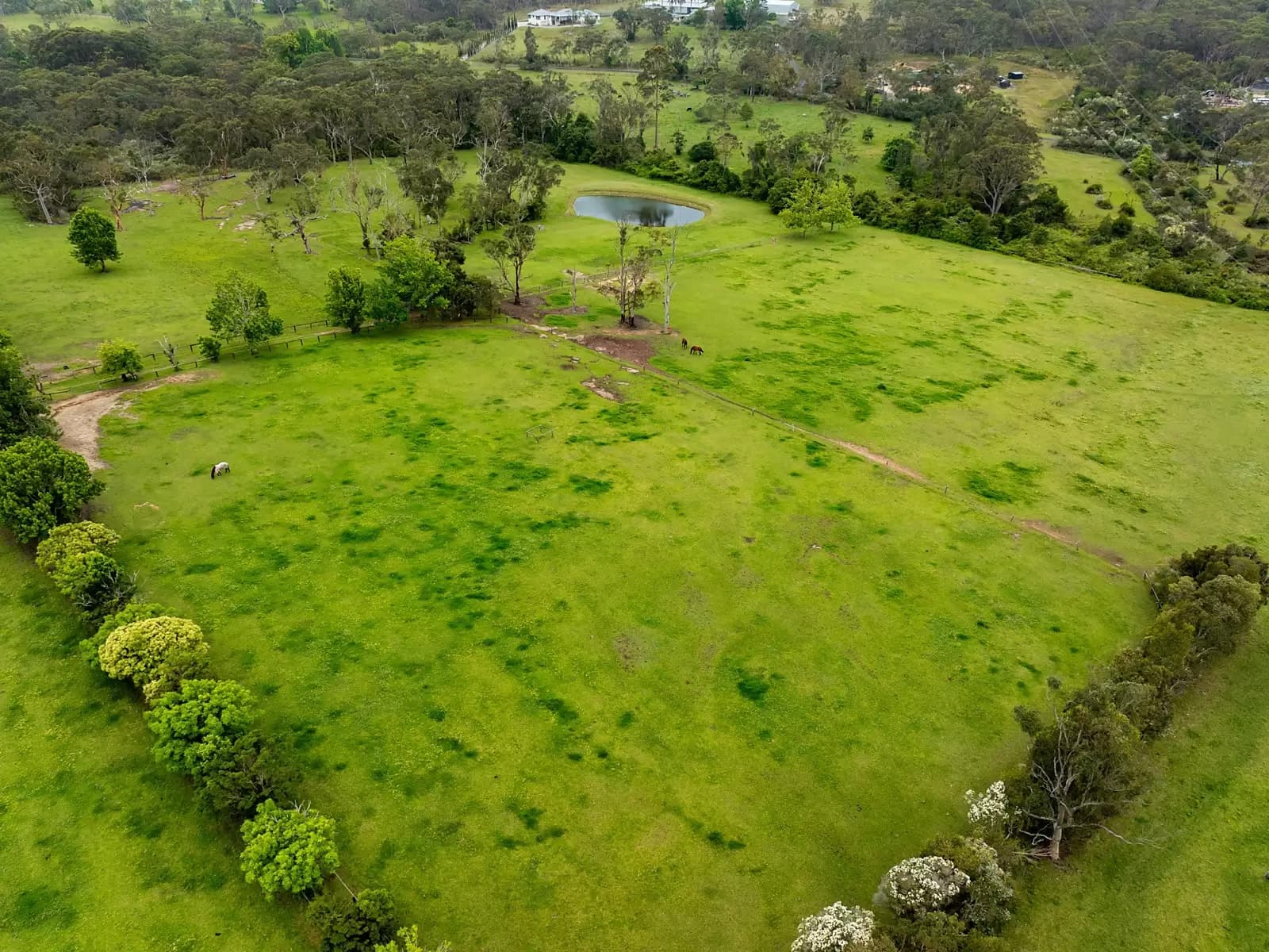 80 Ernbrook Road, Mount White, Mount White - Thumbnail 6