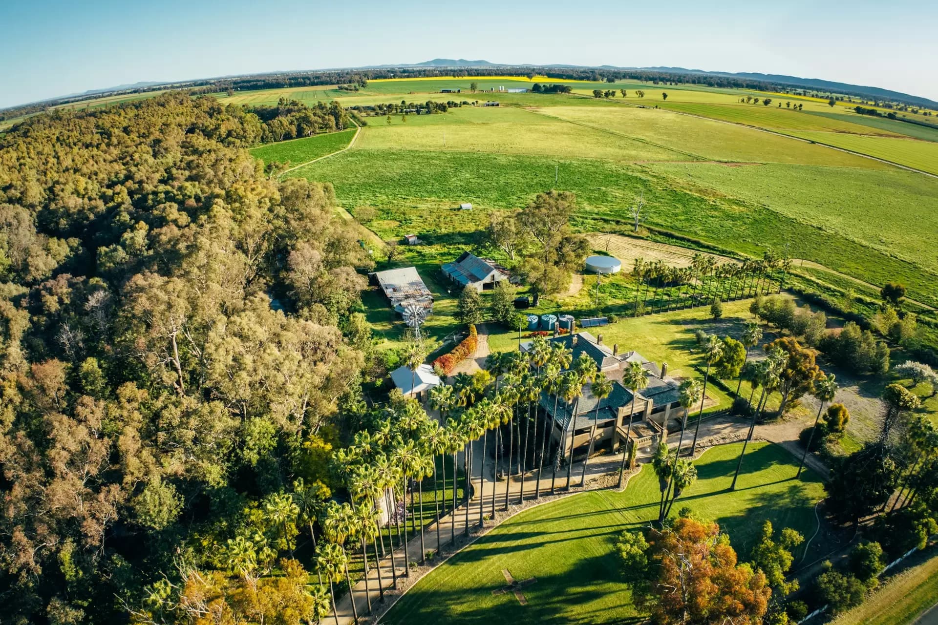 1301 Bedgerabong Road, Forbes, Forbes - Thumbnail 3