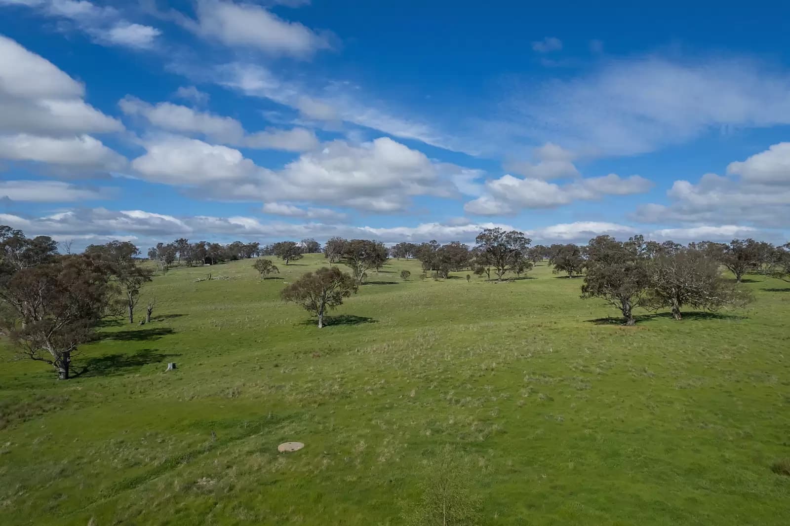 239 Longrail Gully Road, Murrumbateman, Murrumbateman - Thumbnail 5