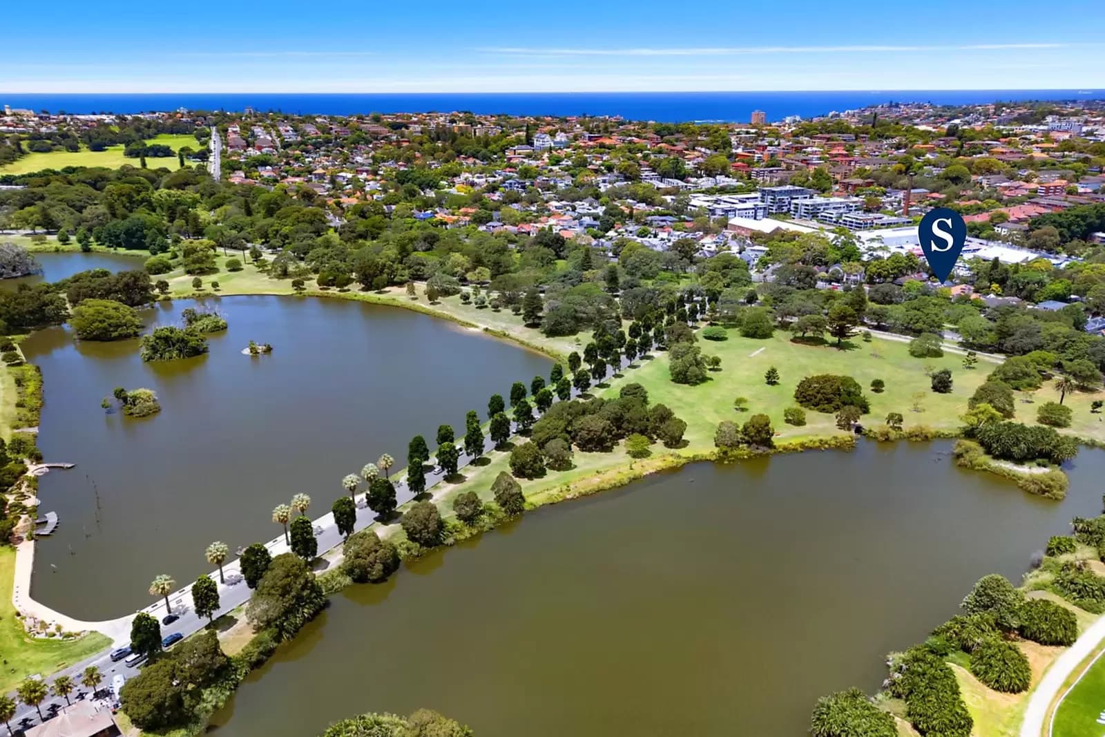 33 Darley Road, Randwick, Randwick - Thumbnail 4