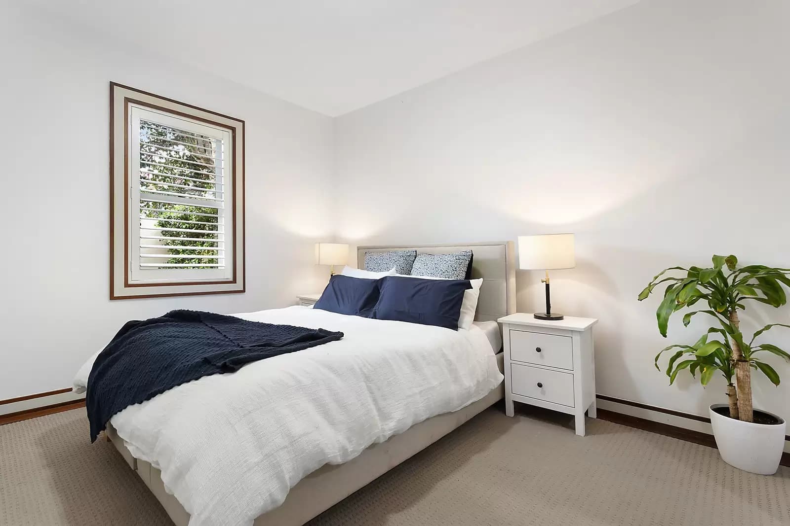 248 Carrington Road, Randwick, Randwick - Thumbnail 7