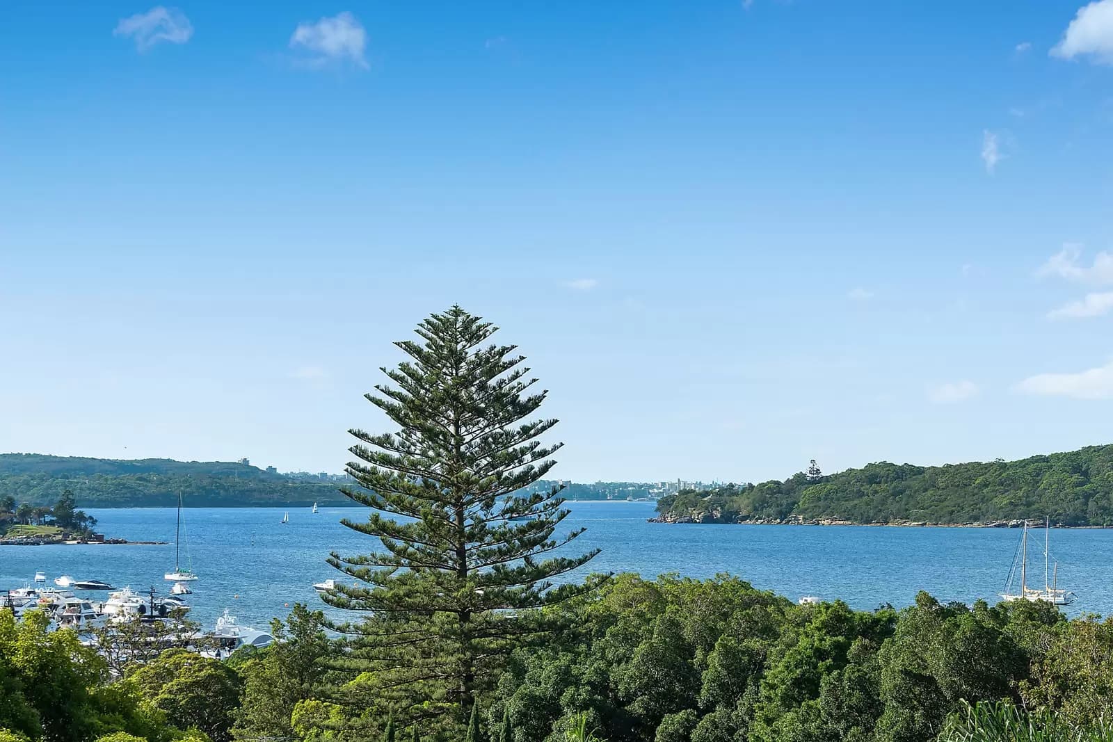 22 Cranbrook Road, Bellevue Hill, Bellevue Hill - Thumbnail 3