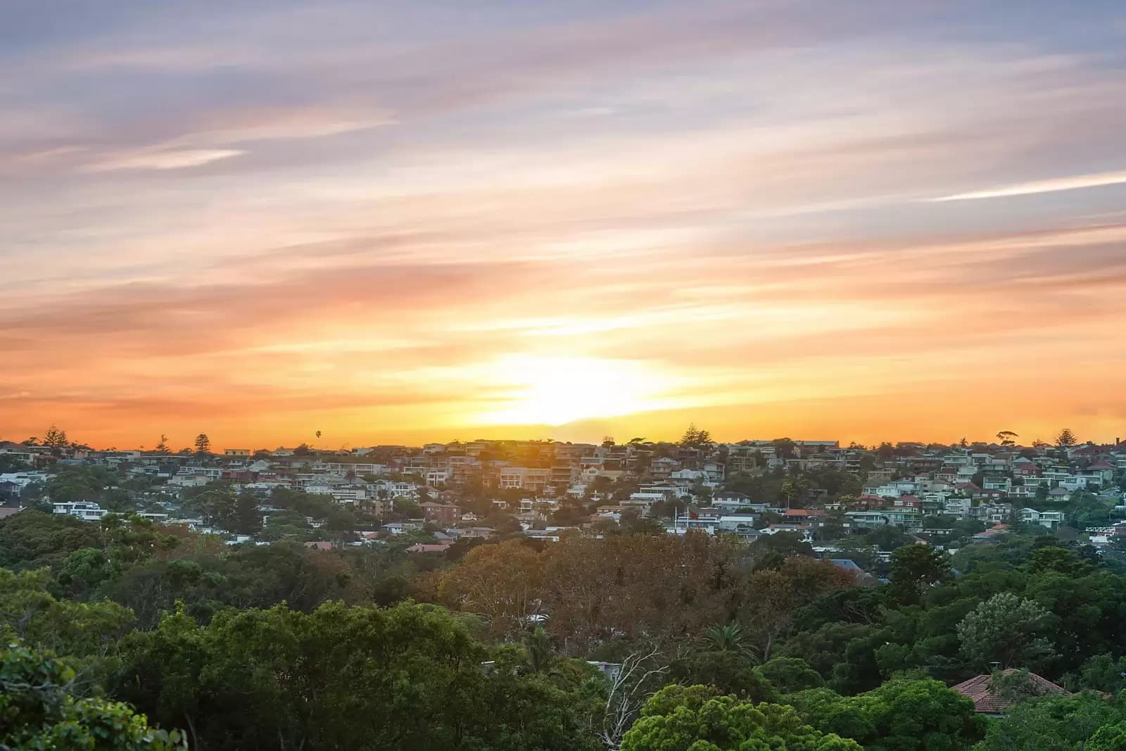 22 Cranbrook Road, Bellevue Hill, Bellevue Hill - Thumbnail 5