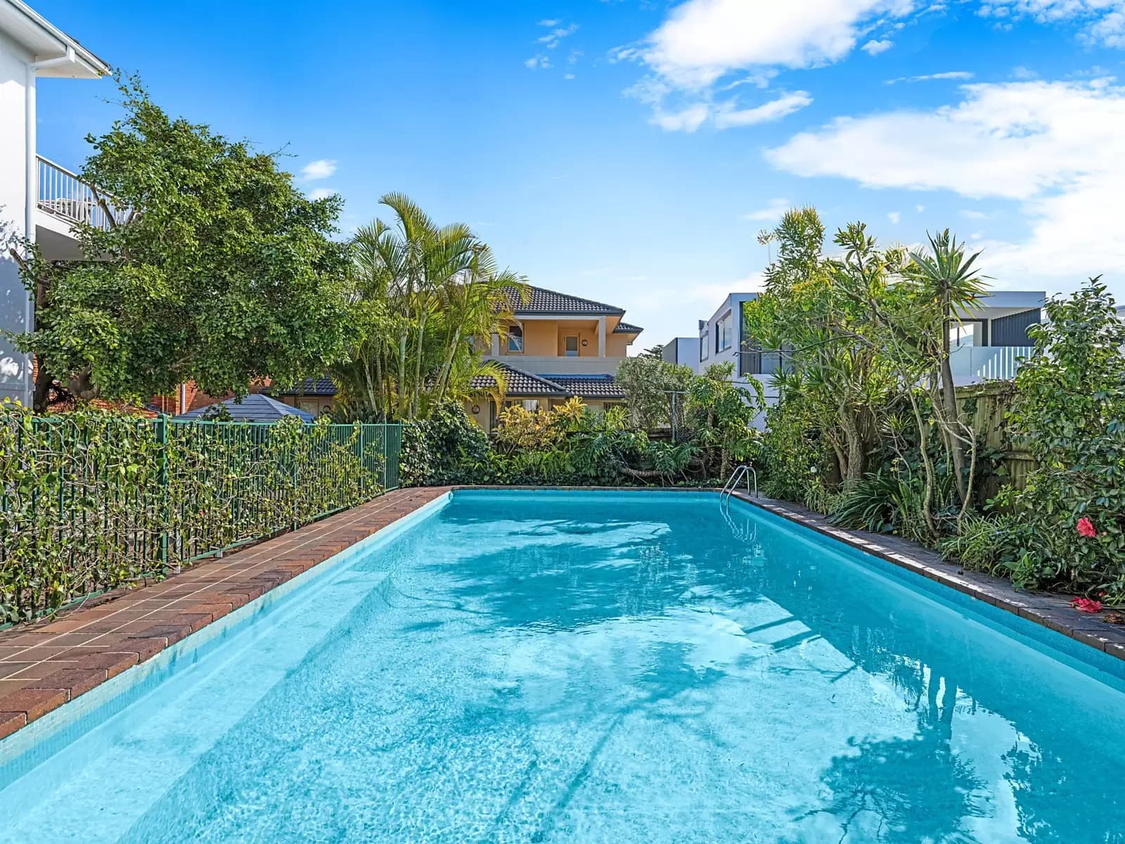 59 Military Road, Dover Heights, Dover Heights - Thumbnail 8