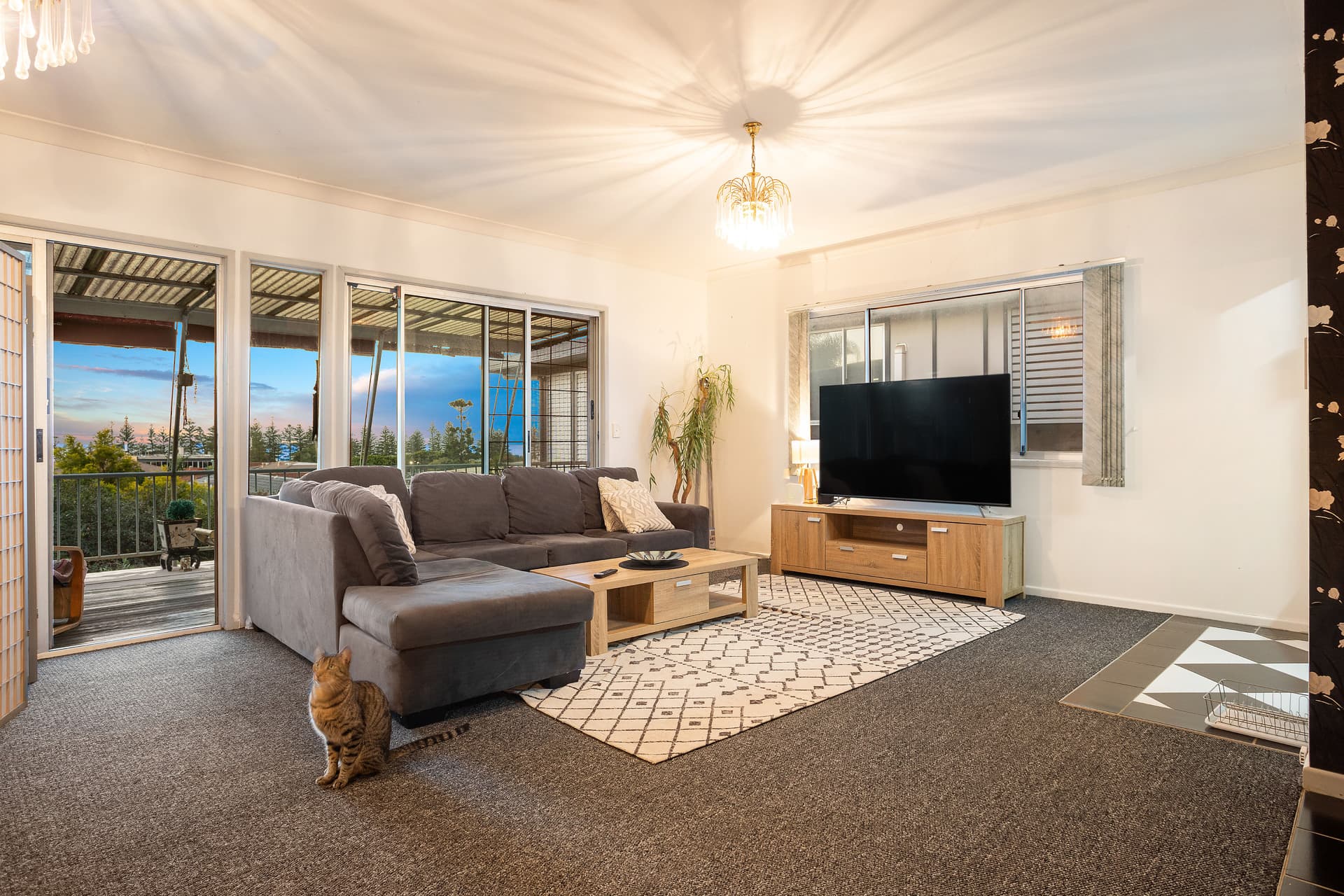 11 Hill Avenue, Burleigh Heads, QLD, 4220, Burleigh Heads - Thumbnail 6