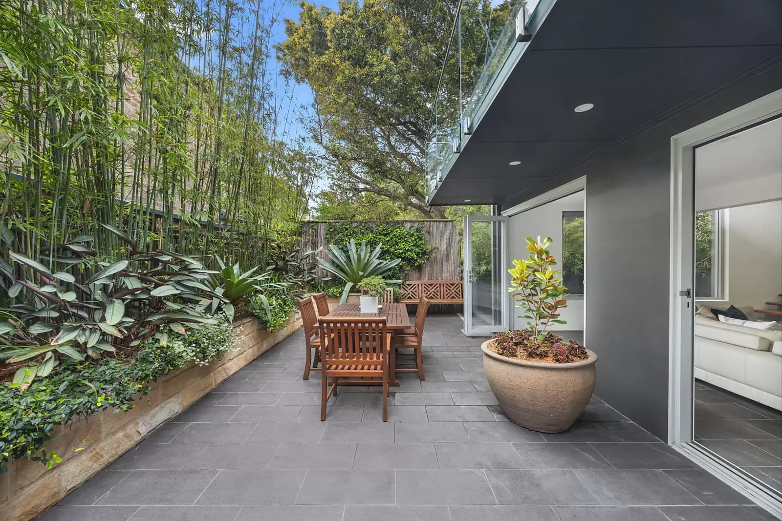 16 Randwick Street, Randwick, Randwick - Image 1