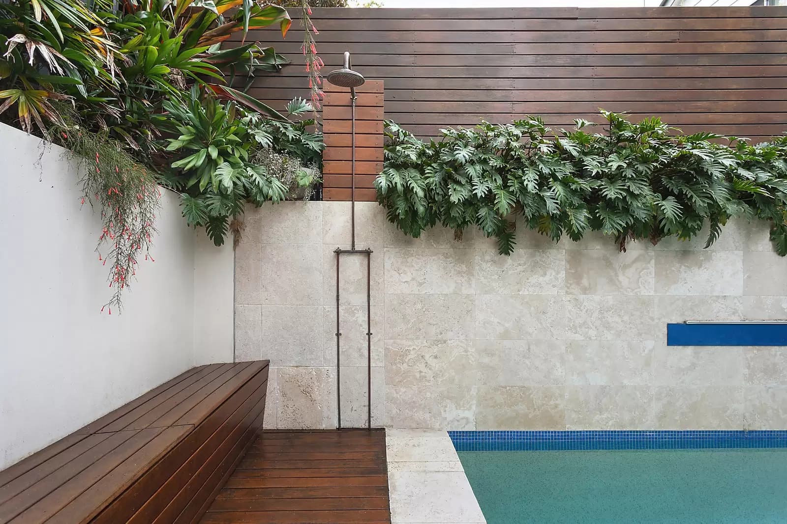 103 Ruthven Street, Bondi Junction, Bondi Junction - Thumbnail 3