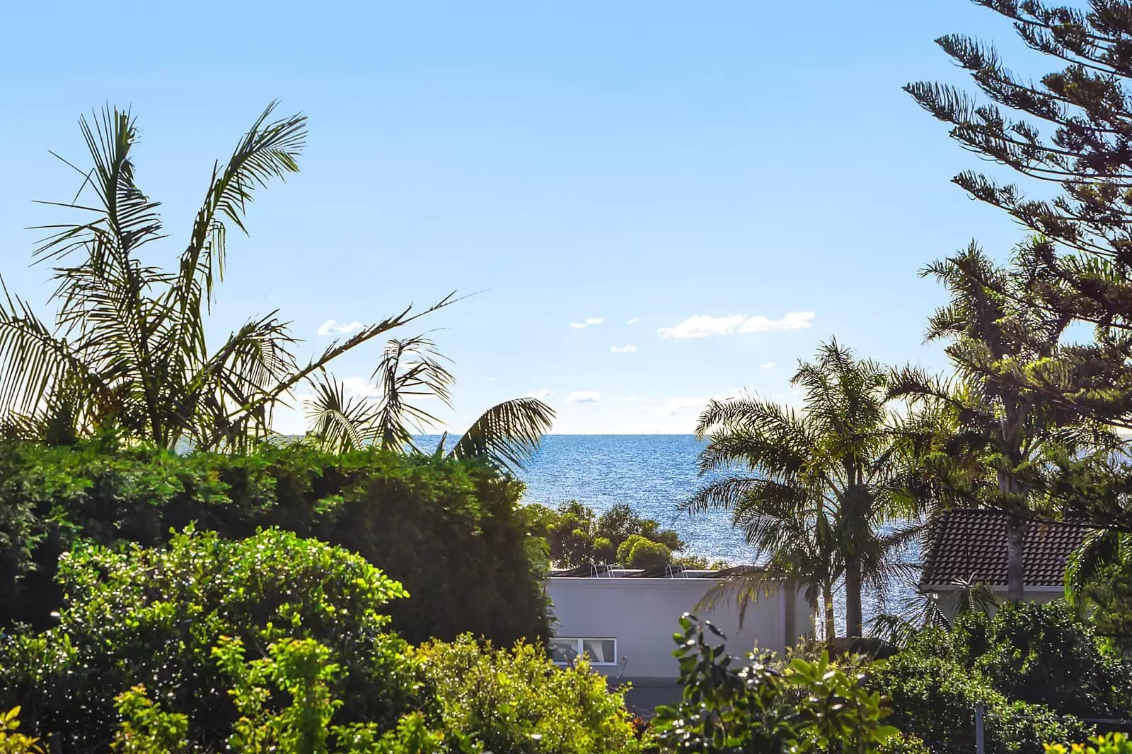 6 Phillip Street, South Coogee, South Coogee - Thumbnail 6