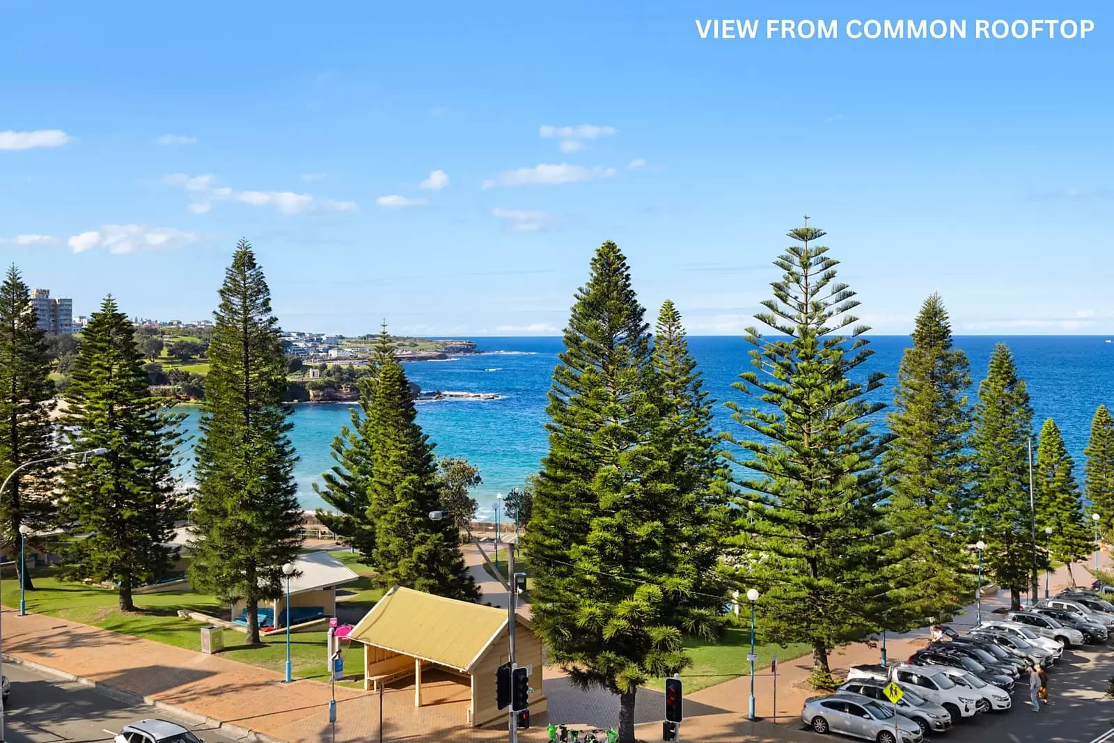 13/50 Carr Street, Coogee, Coogee - Thumbnail 6