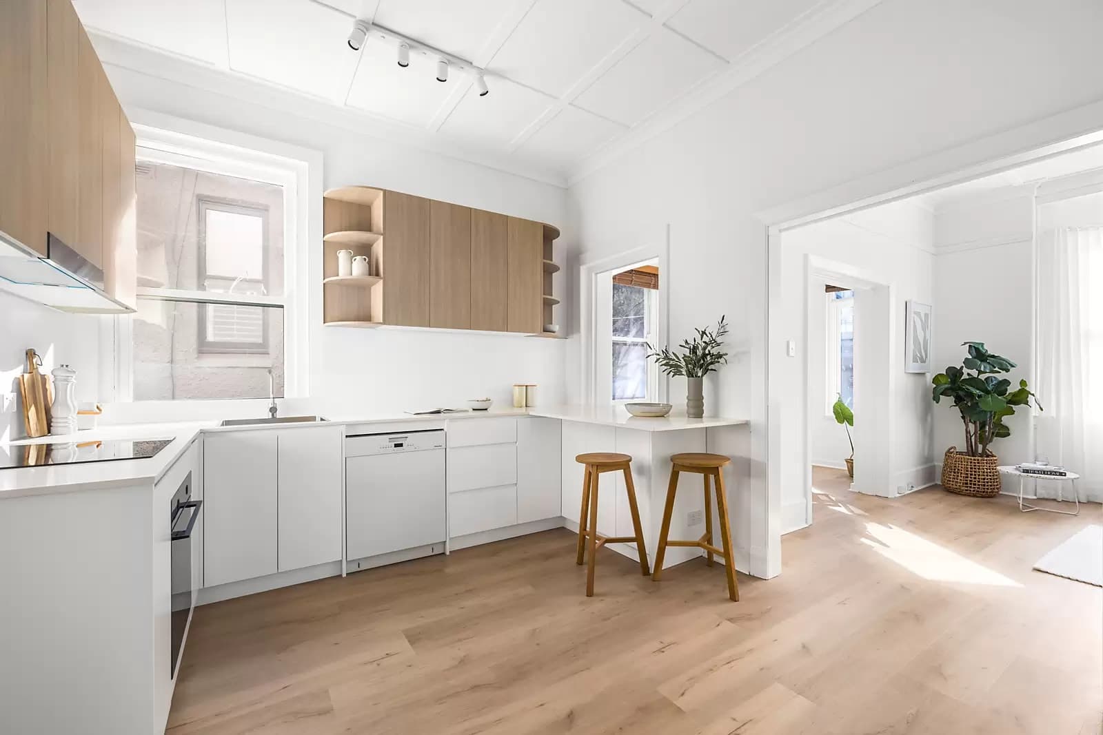 13/50 Carr Street, Coogee, Coogee - Thumbnail 7