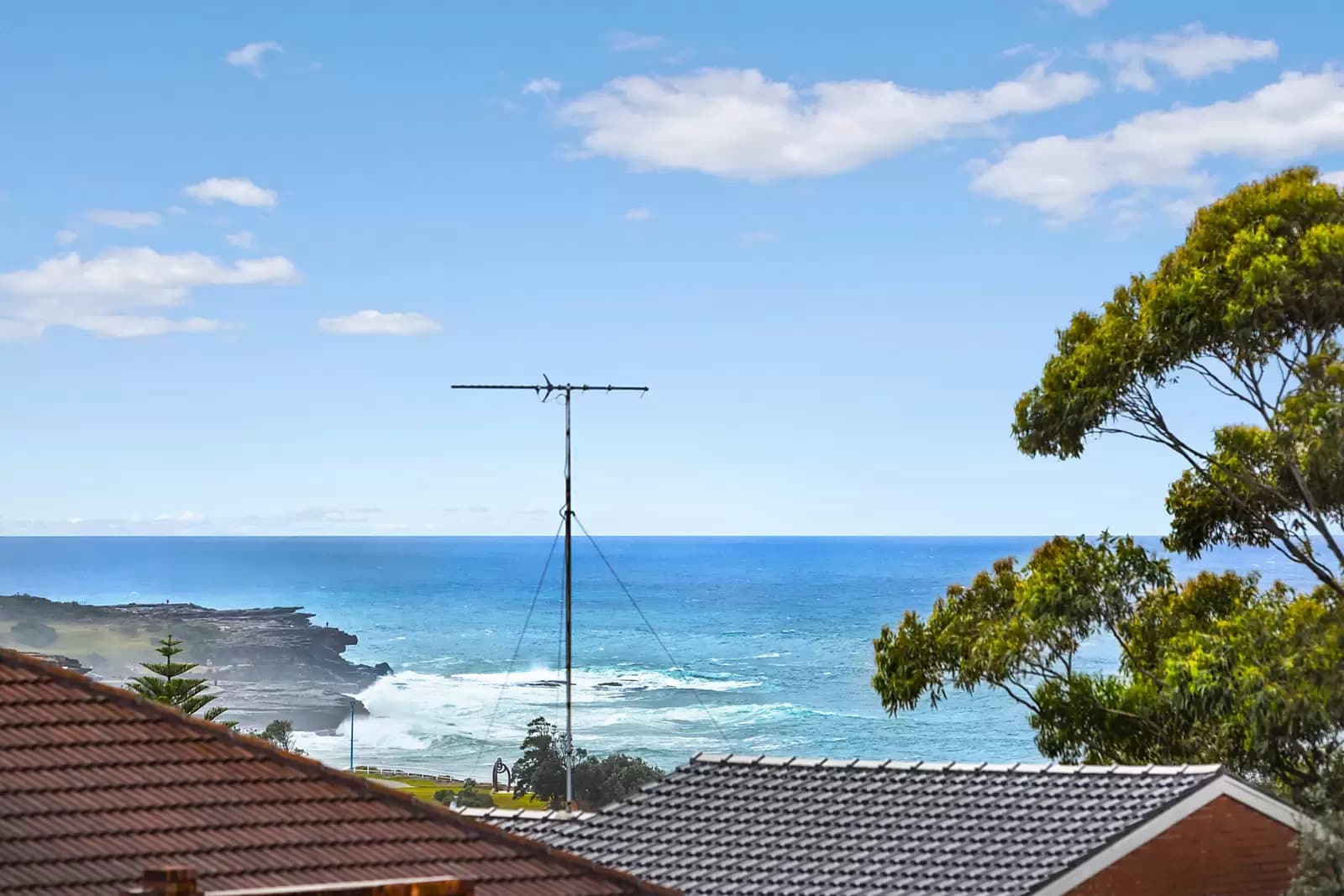 5/20 Carr Street, Coogee, Coogee - Thumbnail 3