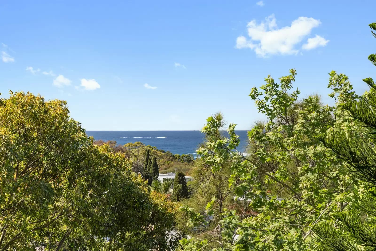 65E/260 Alison Road, Randwick, Randwick - Thumbnail 2