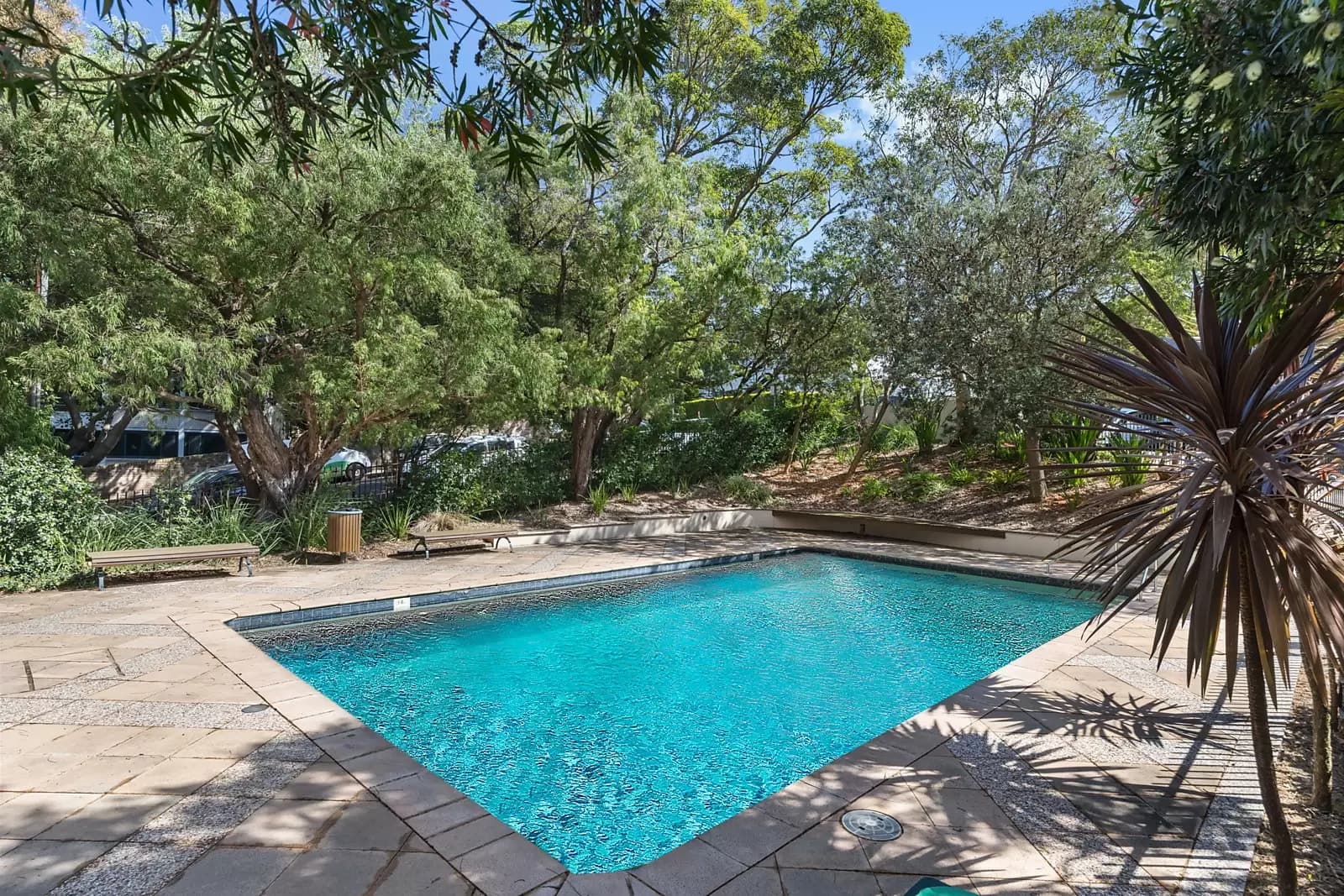 65E/260 Alison Road, Randwick, Randwick - Thumbnail 3