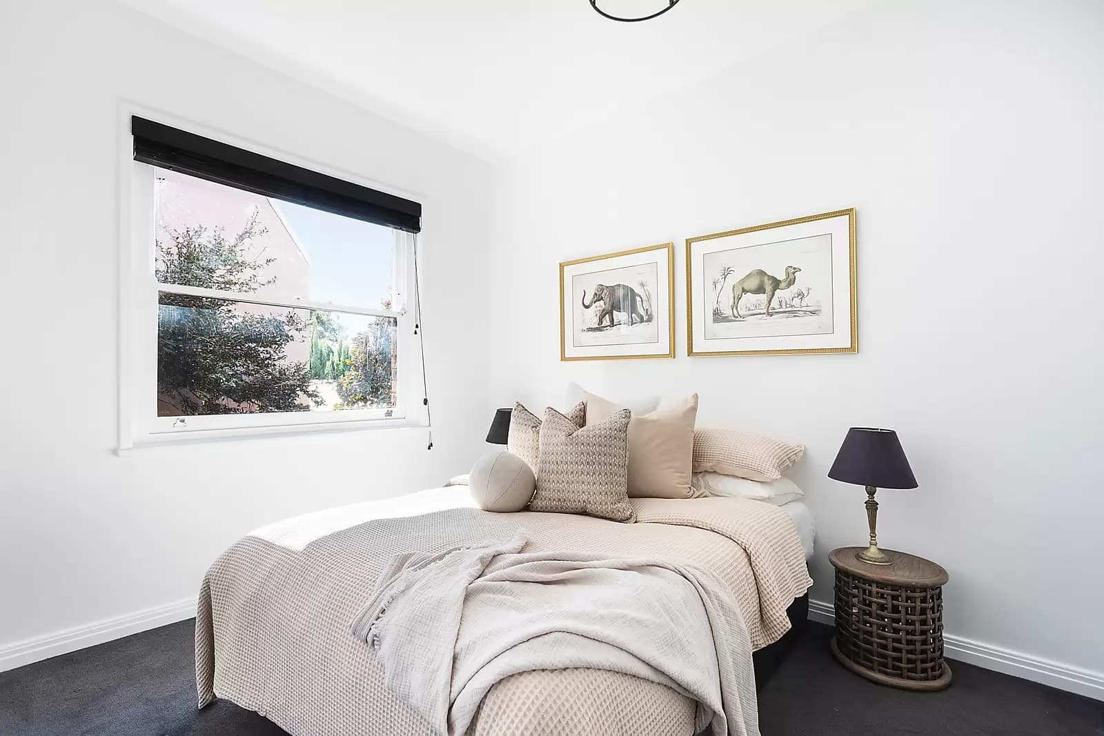 6/29 Nelson Street, Woollahra, Woollahra - Thumbnail 5