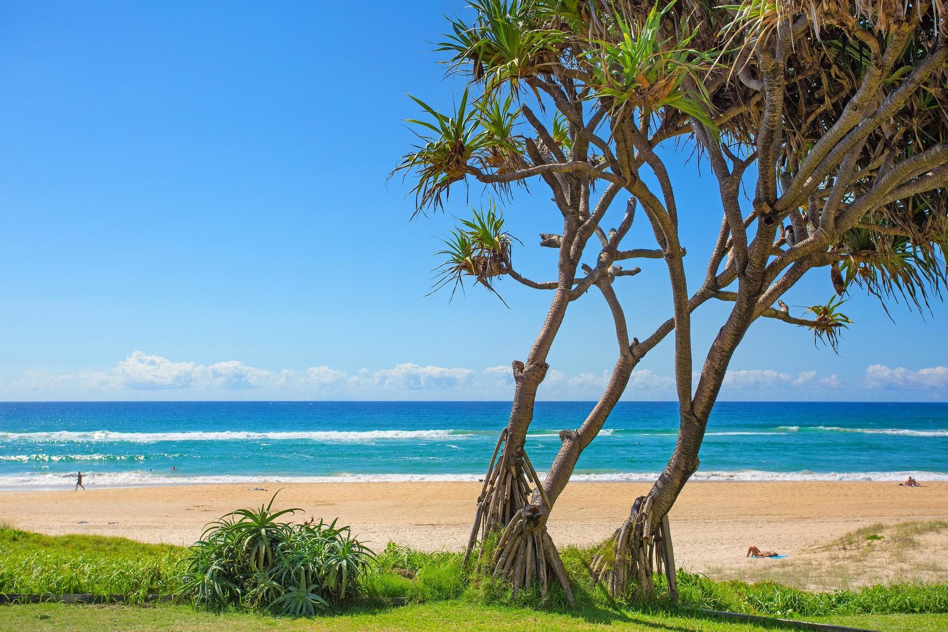 59 Hedges Avenue, Mermaid Beach, QLD, 4218, Mermaid Beach - Thumbnail 6
