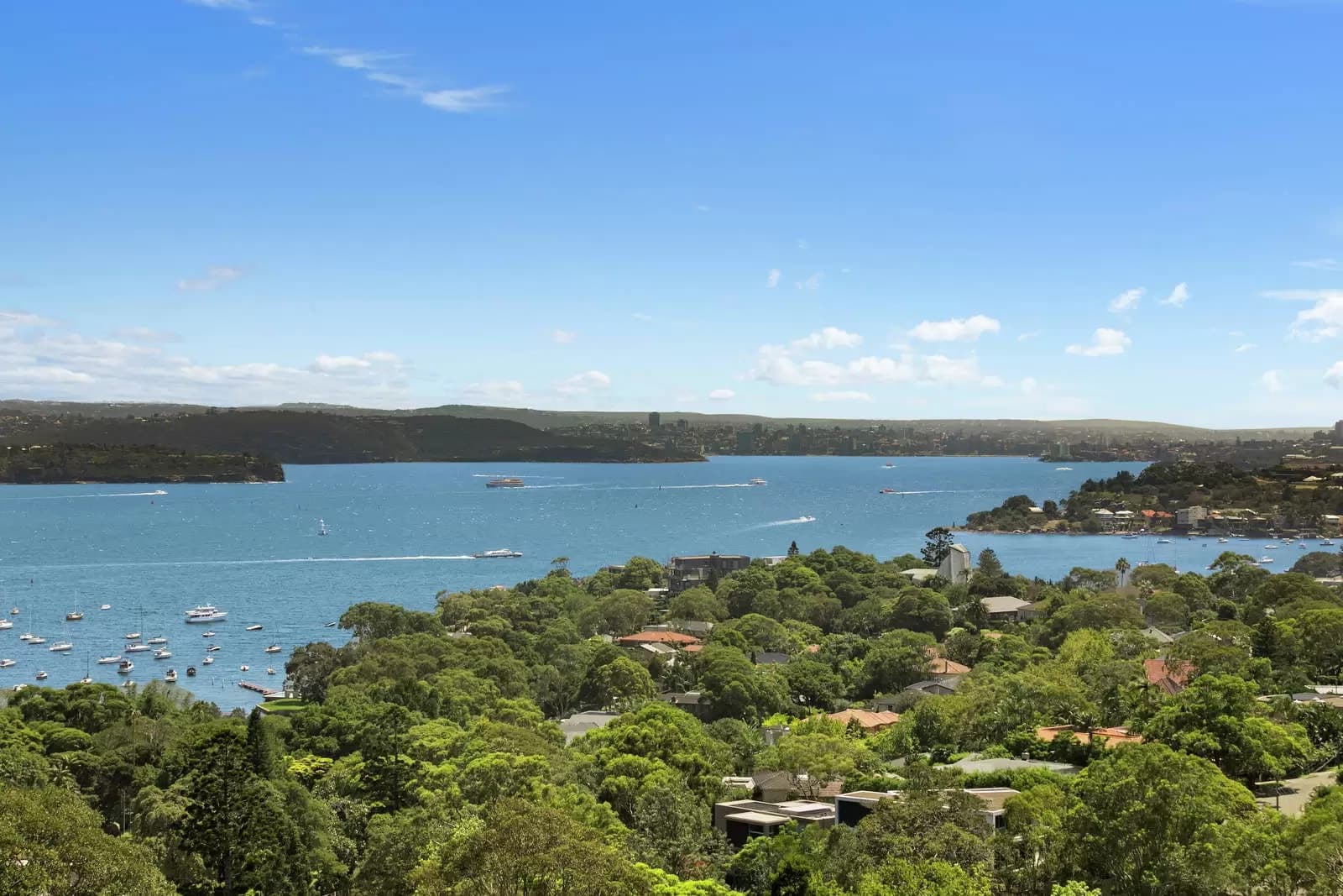 1 Wentworth Road, Vaucluse, Vaucluse - Thumbnail 6