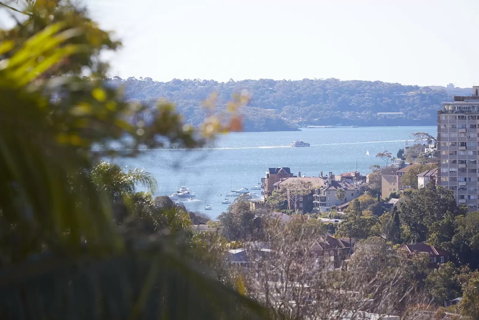 3/313 Edgecliff Road, Woollahra, Woollahra - Thumbnail 5