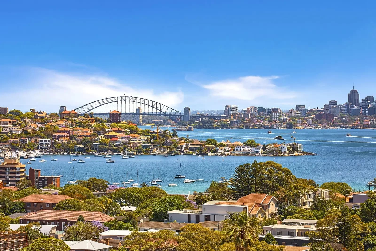 1 Victory Street, Rose Bay, Rose Bay - Thumbnail 2