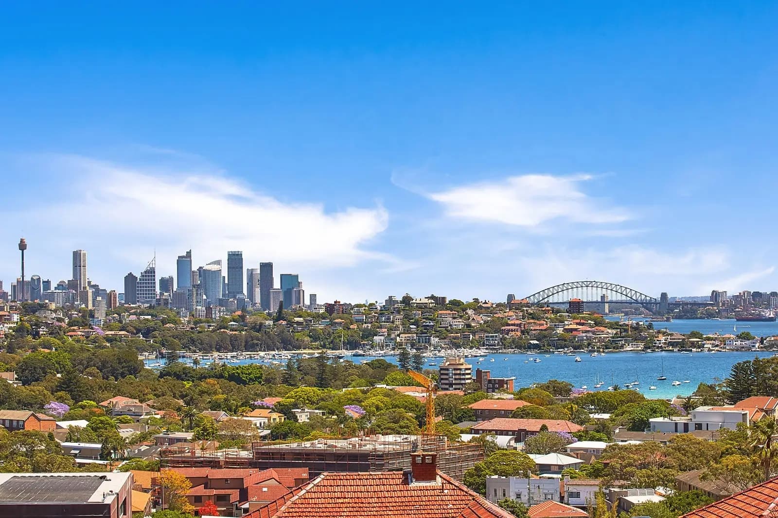 1 Victory Street, Rose Bay, Rose Bay - Thumbnail 3