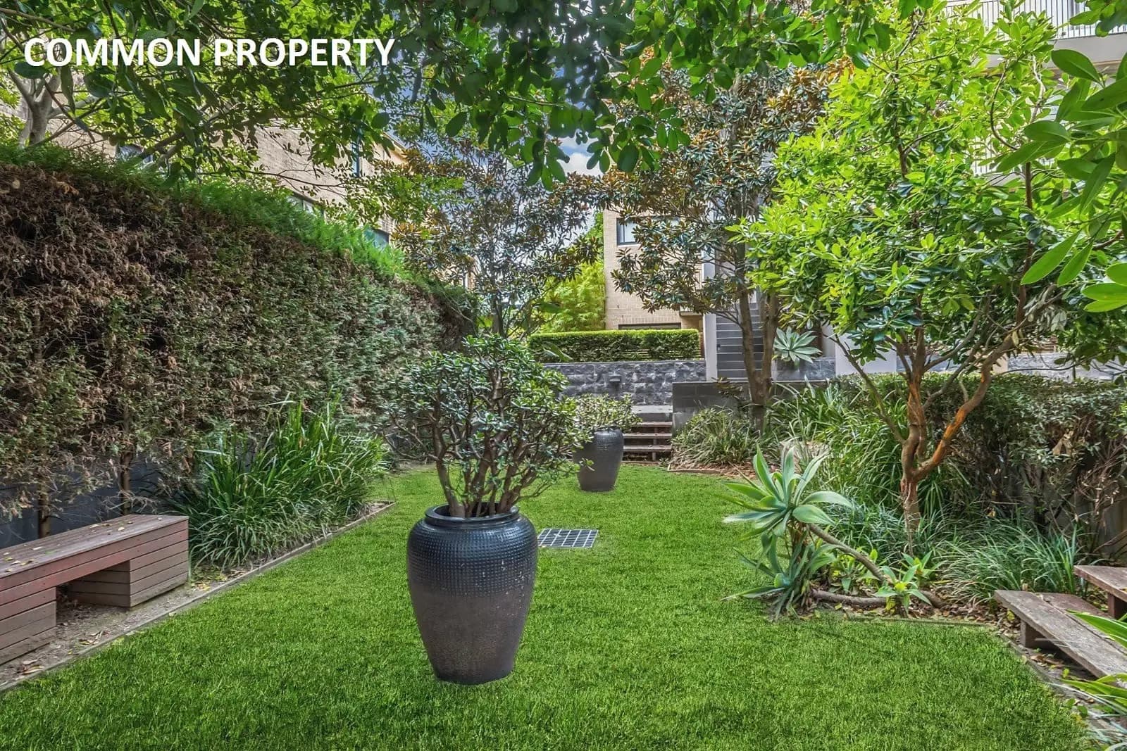 3/7-9 Alison Road, Kensington, Kensington - Thumbnail 8