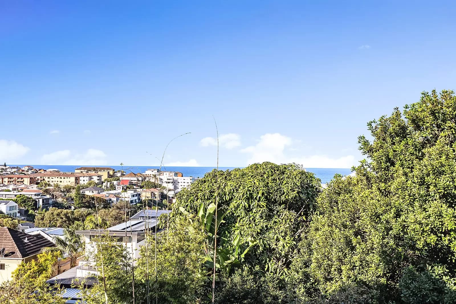 6/109 Arden Street, Coogee, Coogee - Thumbnail 5