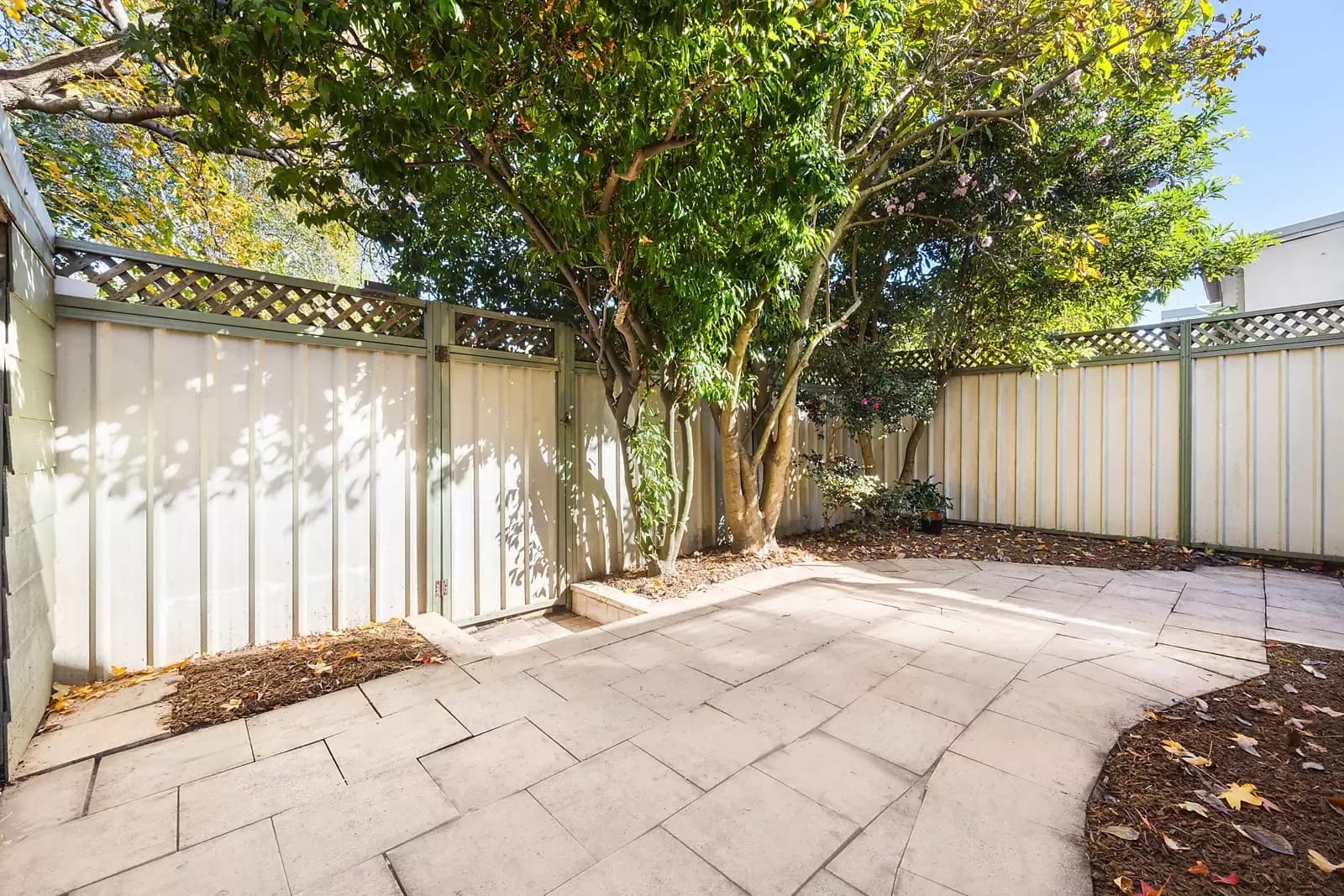 3 Alice Avenue, Newtown, Newtown - Thumbnail 3