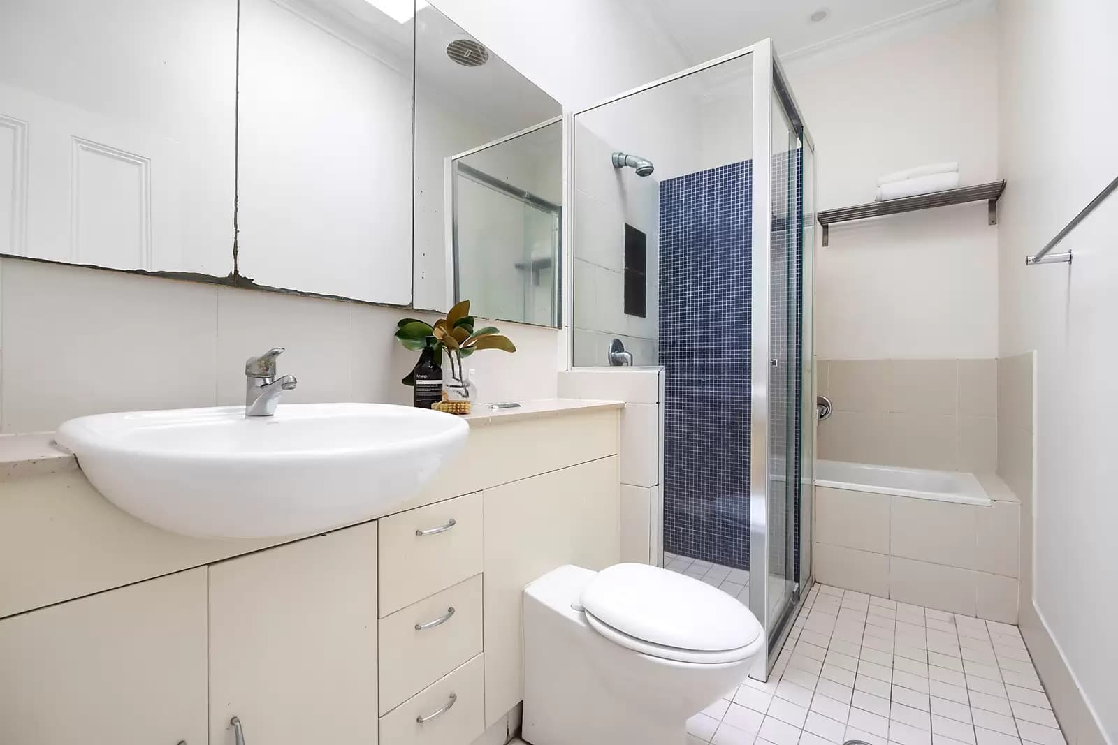 3 Alice Avenue, Newtown, Newtown - Thumbnail 5