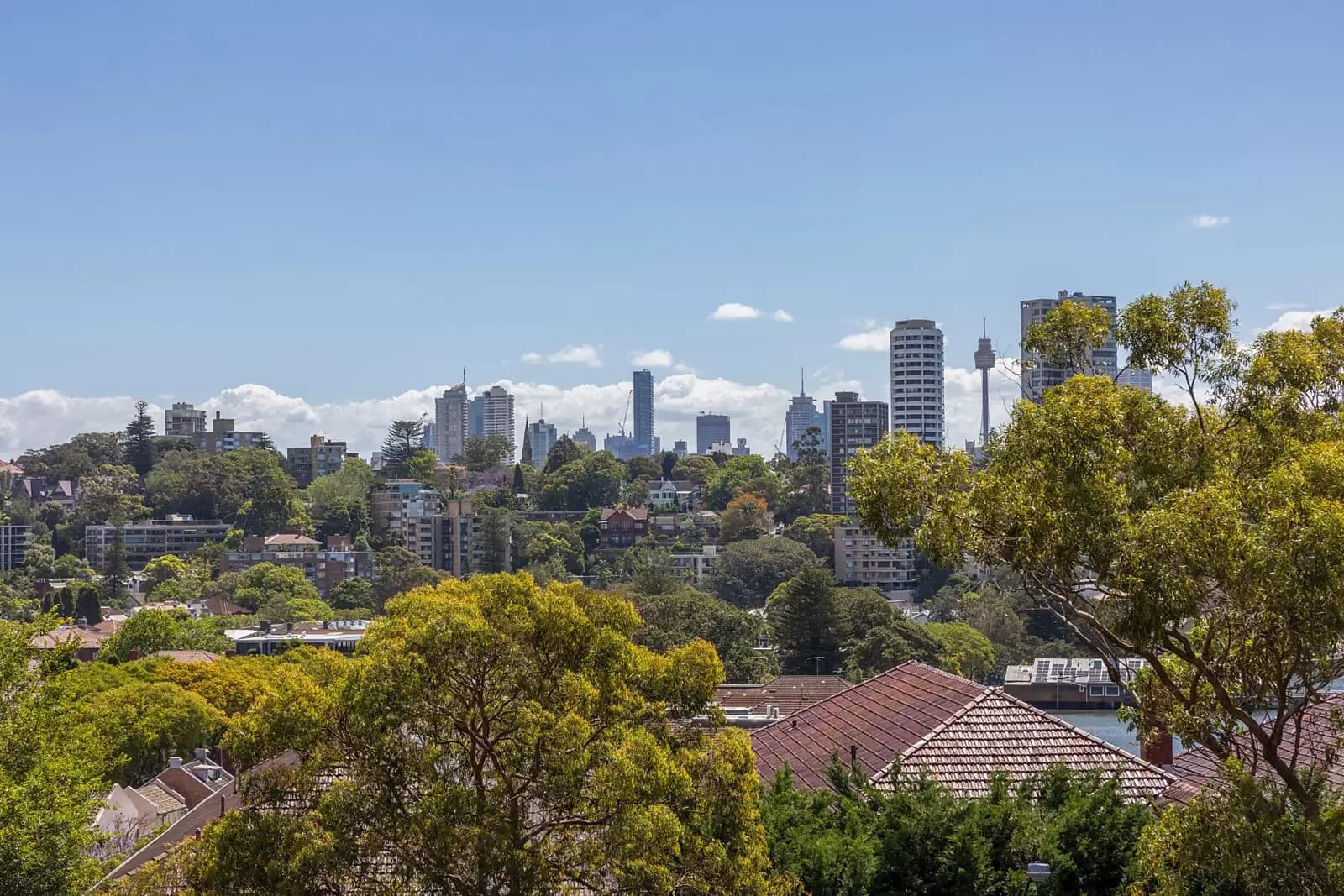 4/531 New South Head Road, Double Bay, Double Bay - Thumbnail 8