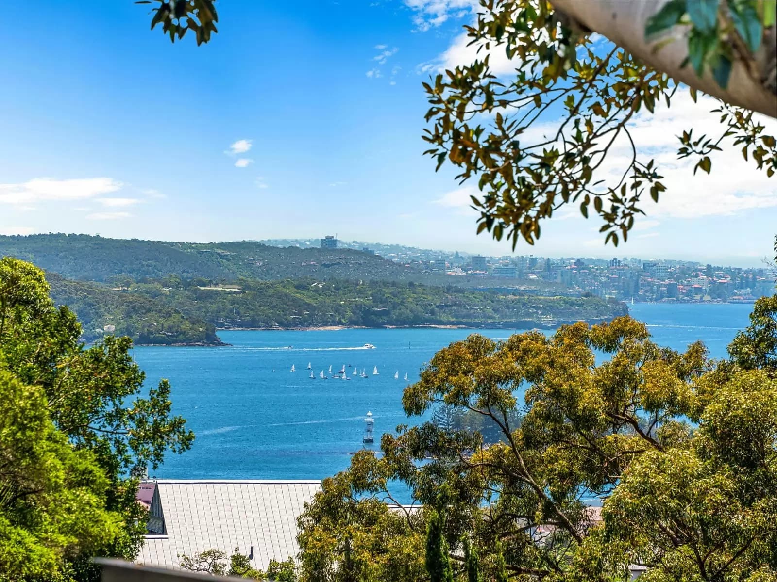 15B Ginahgulla Road, Bellevue Hill, Bellevue Hill - Thumbnail 4