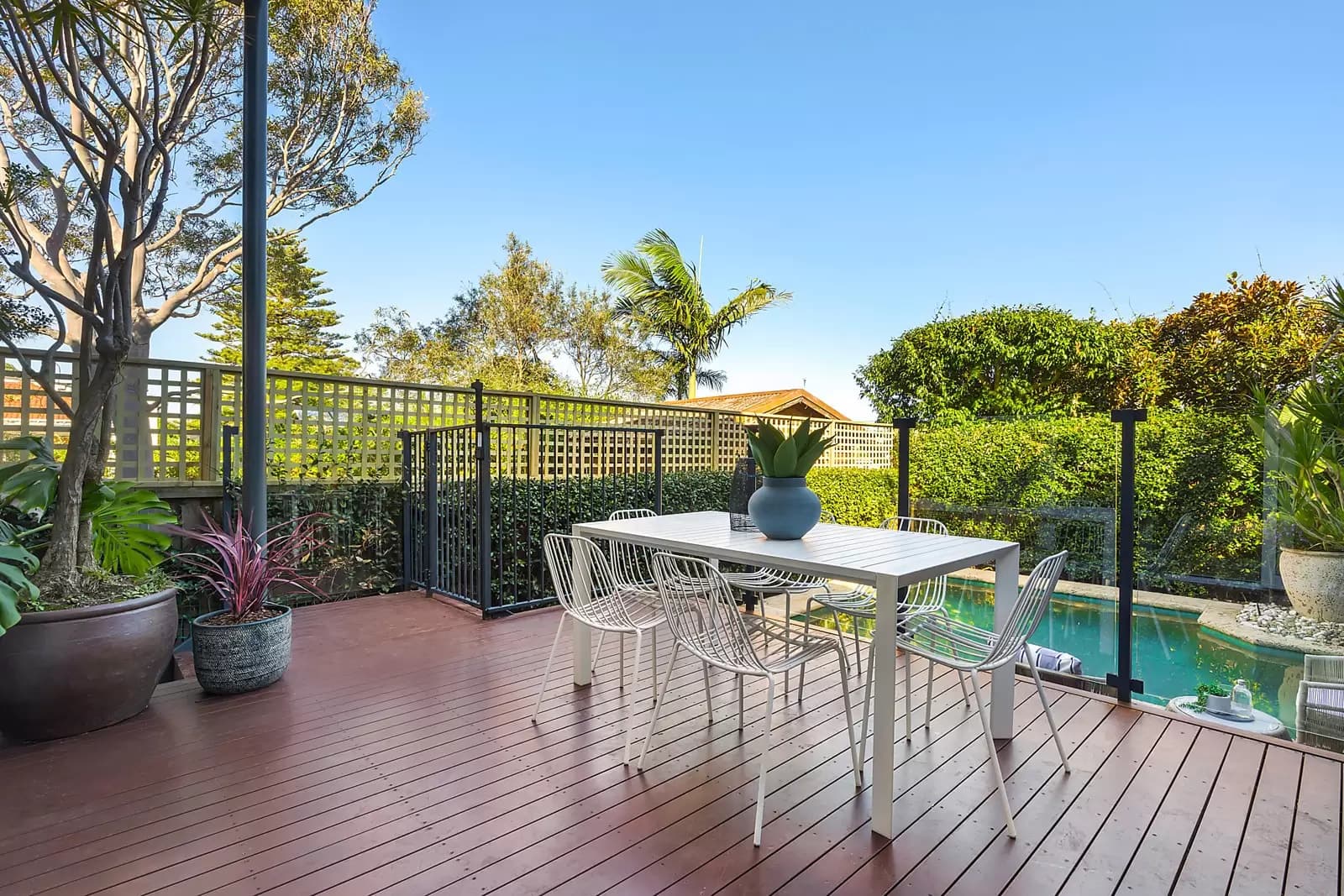 34 Creer Street, Randwick, Randwick - Thumbnail 5