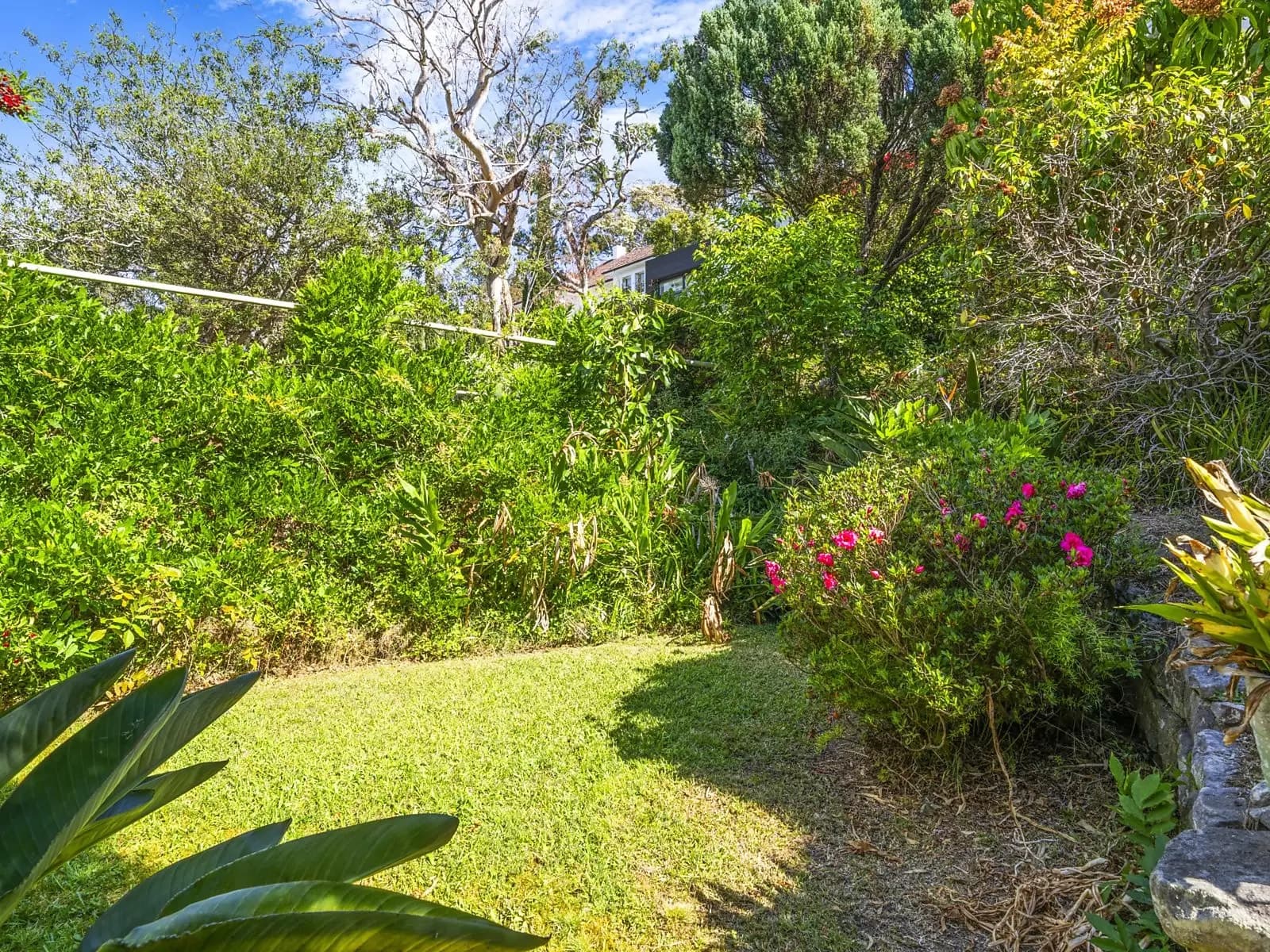 23 Olola Avenue, Vaucluse, Vaucluse - Thumbnail 7