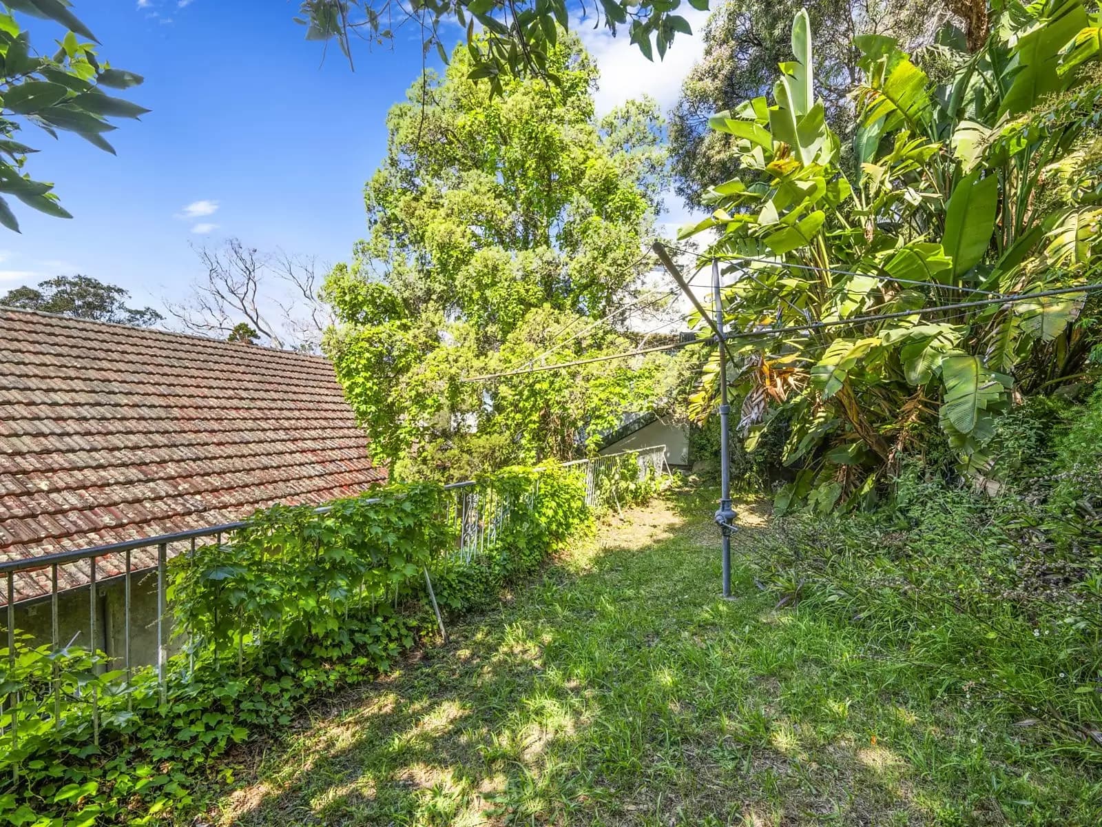 23 Olola Avenue, Vaucluse, Vaucluse - Thumbnail 8
