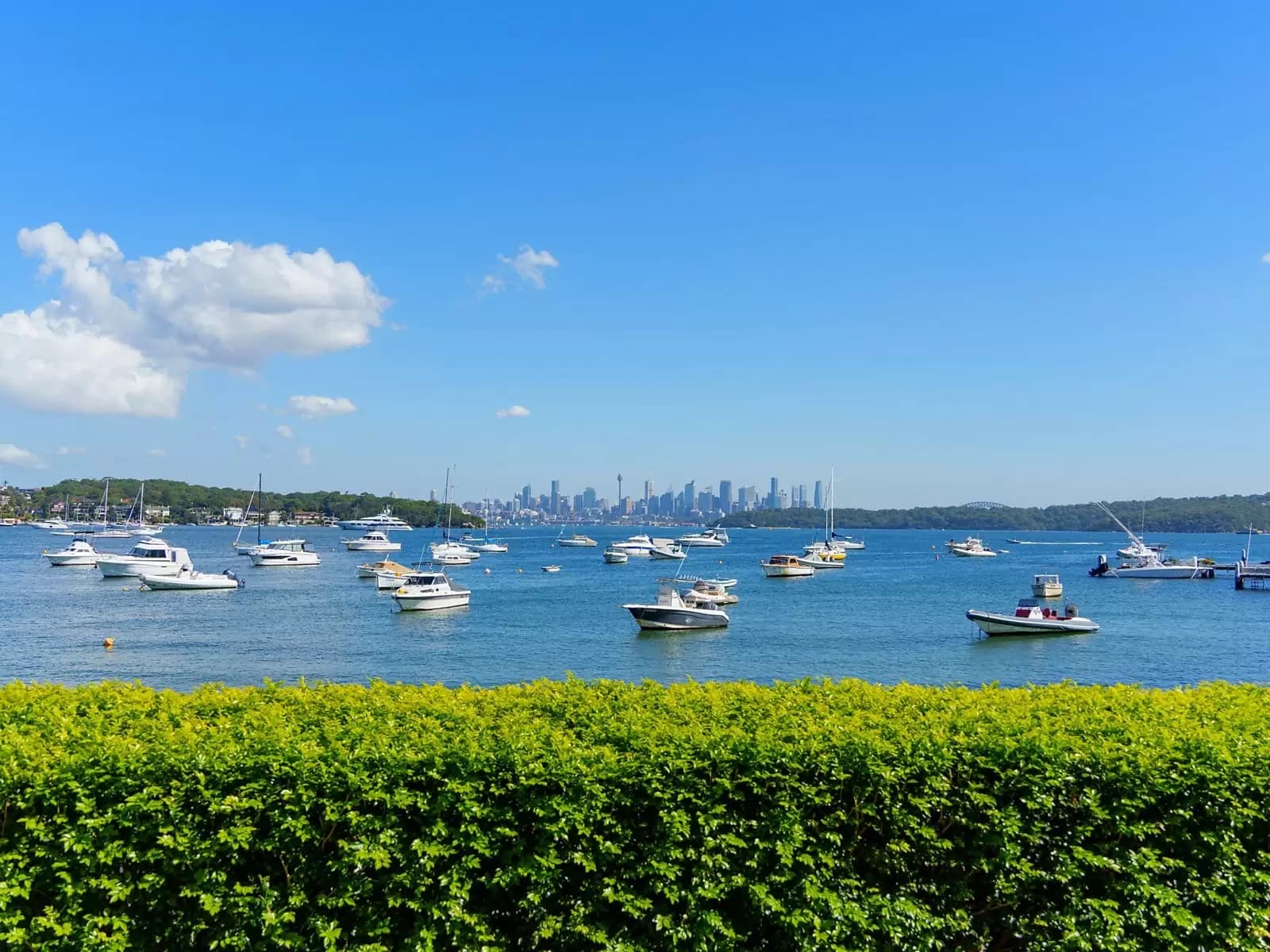 23 Marine Parade, Watsons Bay, Watsons Bay - Thumbnail 6