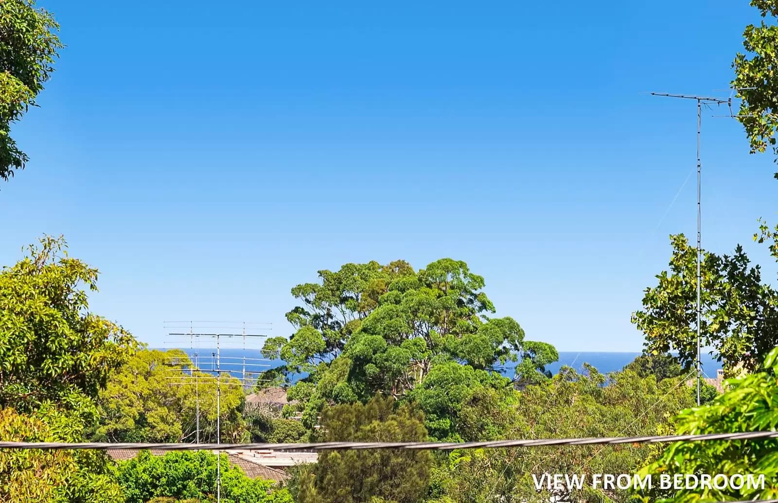 8 Judge Street, Randwick, Randwick - Thumbnail 5