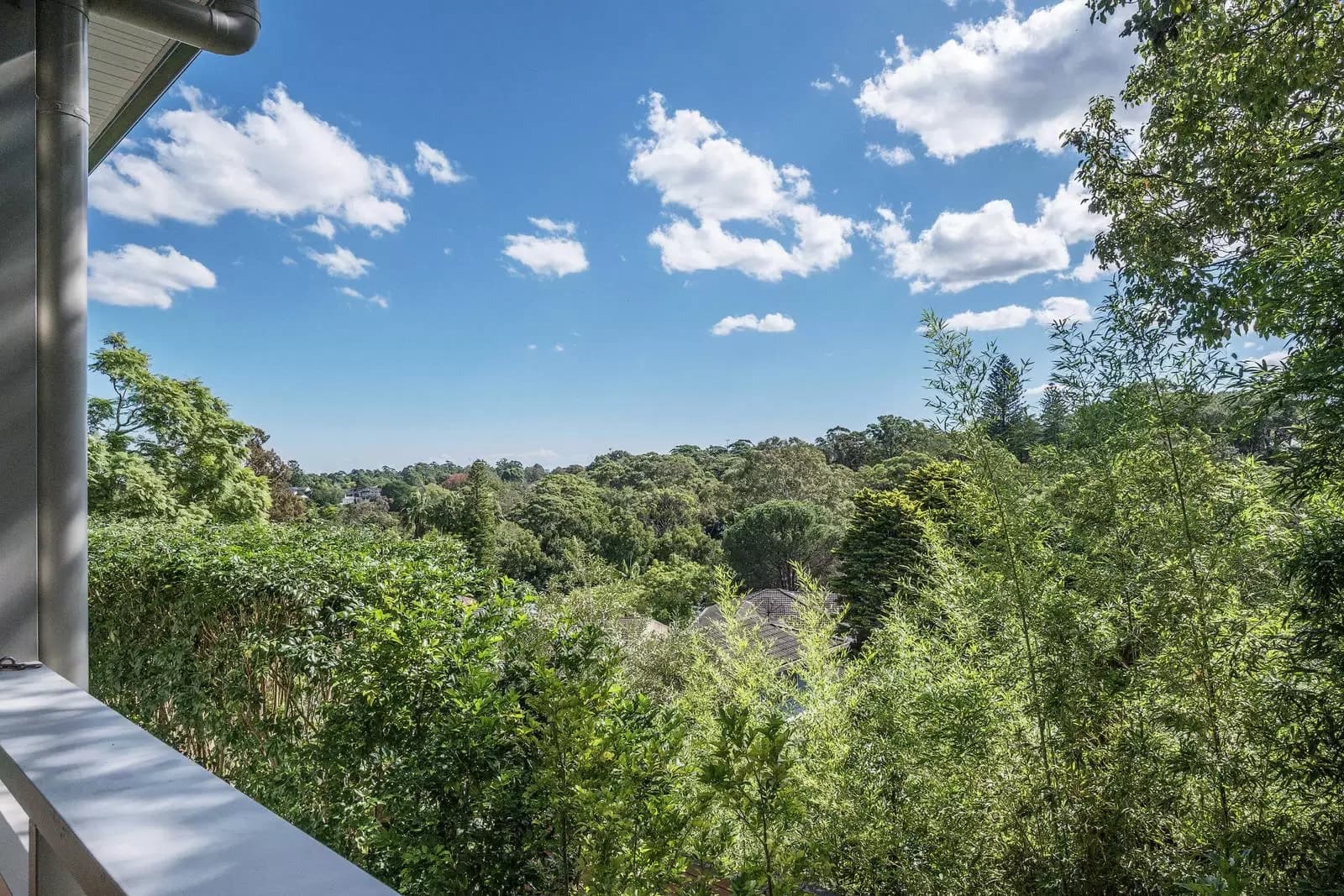 91 Bent Street, Lindfield, Lindfield - Thumbnail 3