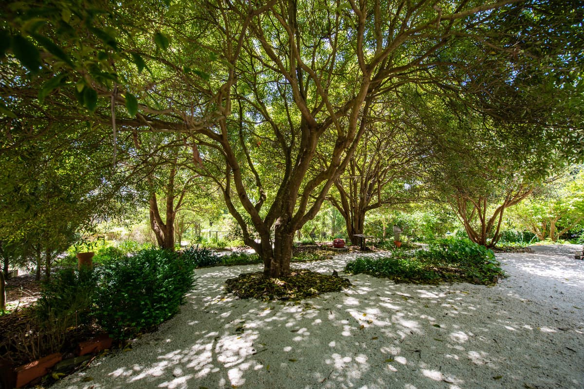 75 Healeys Road, Yinnar South VIC 3869, Yinnar South - Thumbnail 6