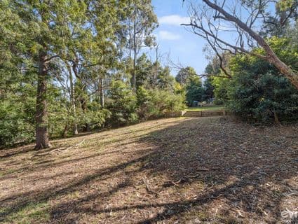 3 Diosma Court, Frankston South, VIC, 3199, Frankston South - Thumbnail 2