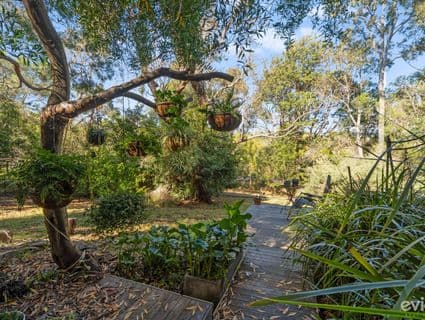 3 Diosma Court, Frankston South, VIC, 3199, Frankston South - Thumbnail 7