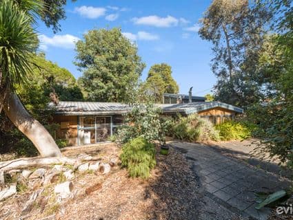 3 Diosma Court, Frankston South, VIC, 3199, Frankston South - Thumbnail 8