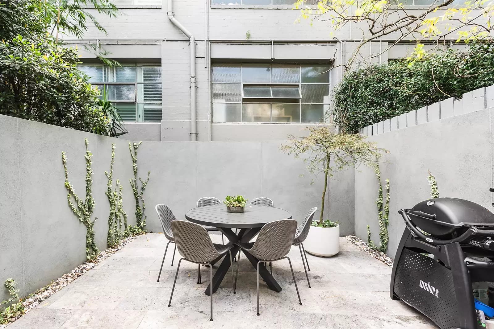 8 Jesmond Street, Surry Hills, Surry Hills - Thumbnail 6